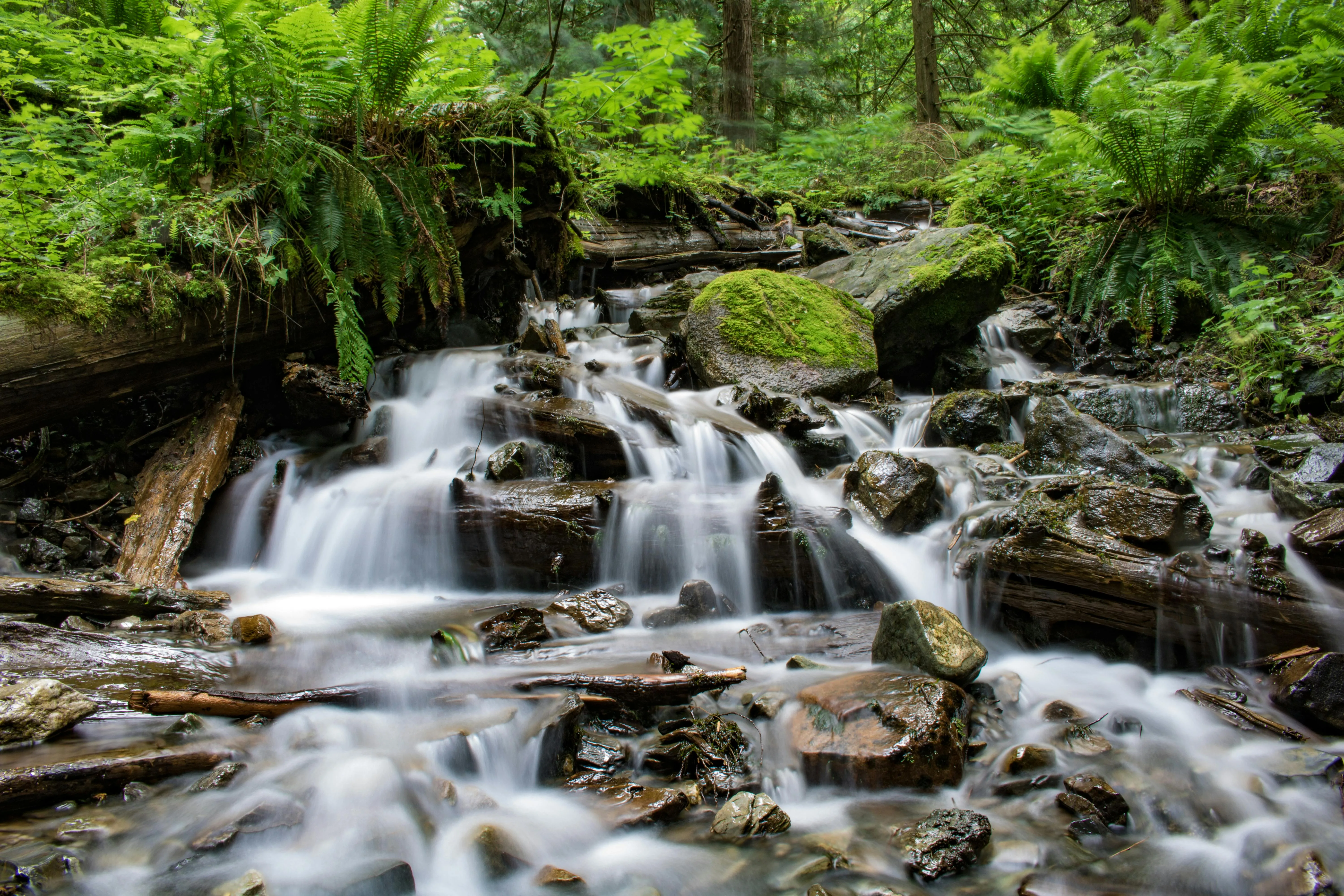Small Forest Waterfall Flowing Over Rocks Free Wallpaper