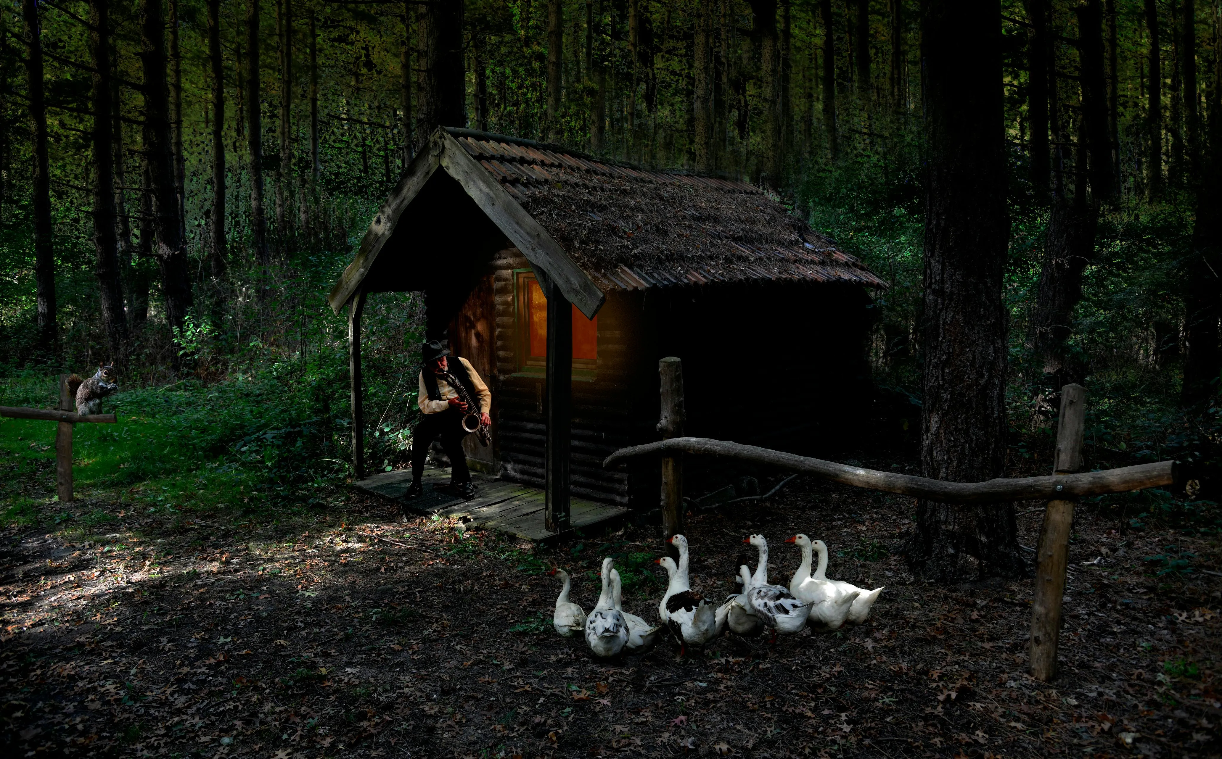 Small Wooden Cabin with Ducks in a Dark Peaceful Forest