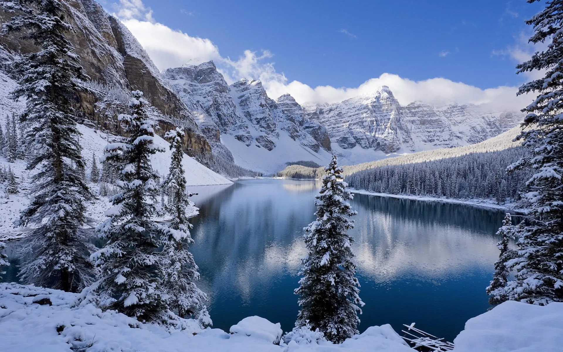 Snow Covered Pines Near Frozen Lake in Mountain Valley