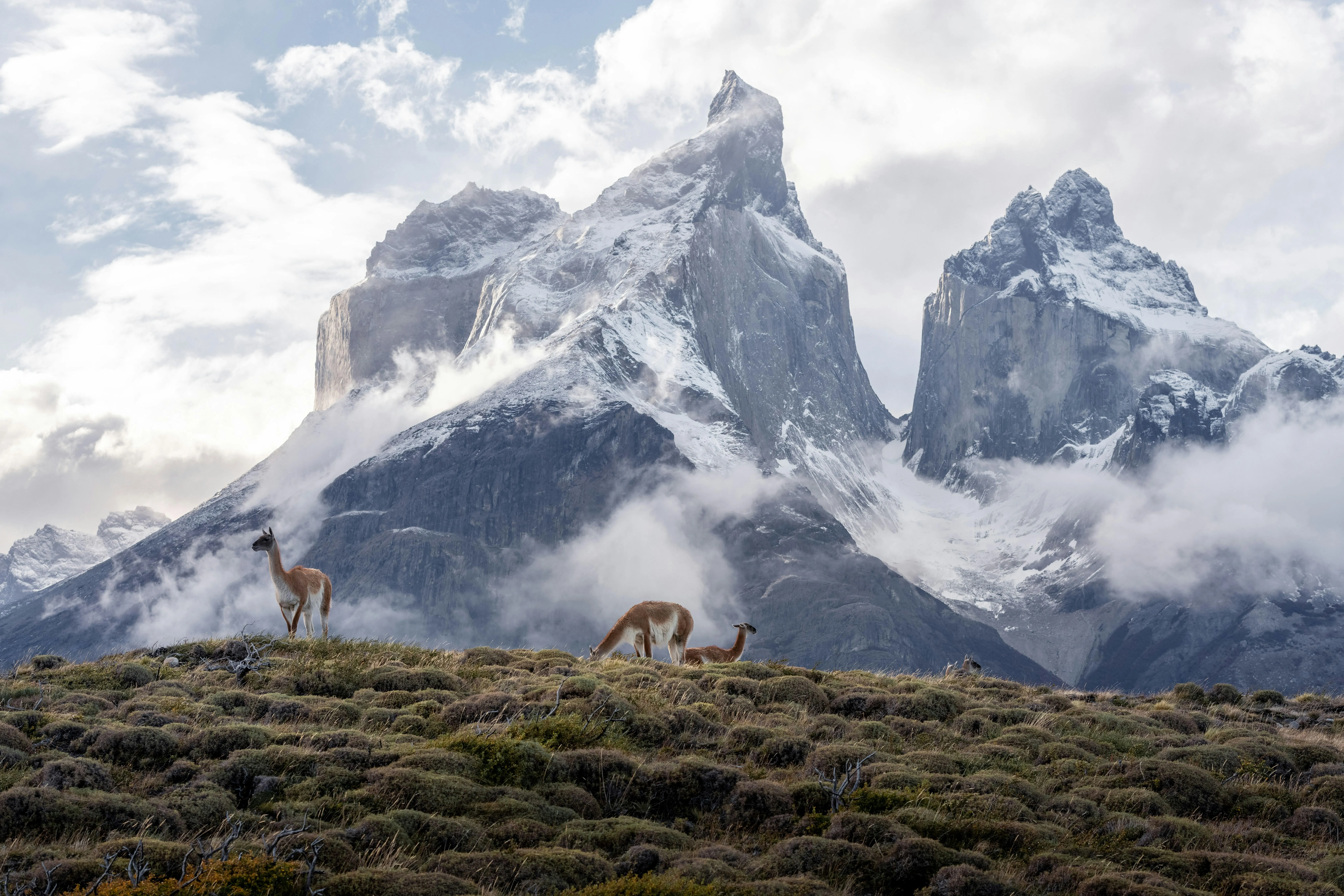 Snowcapped mountains with dramatic cloudy peaks image