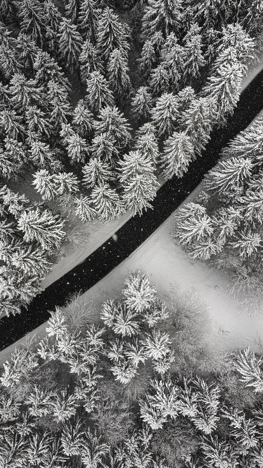 Snowy Forest Aerial View with Road Cutting Through Trees