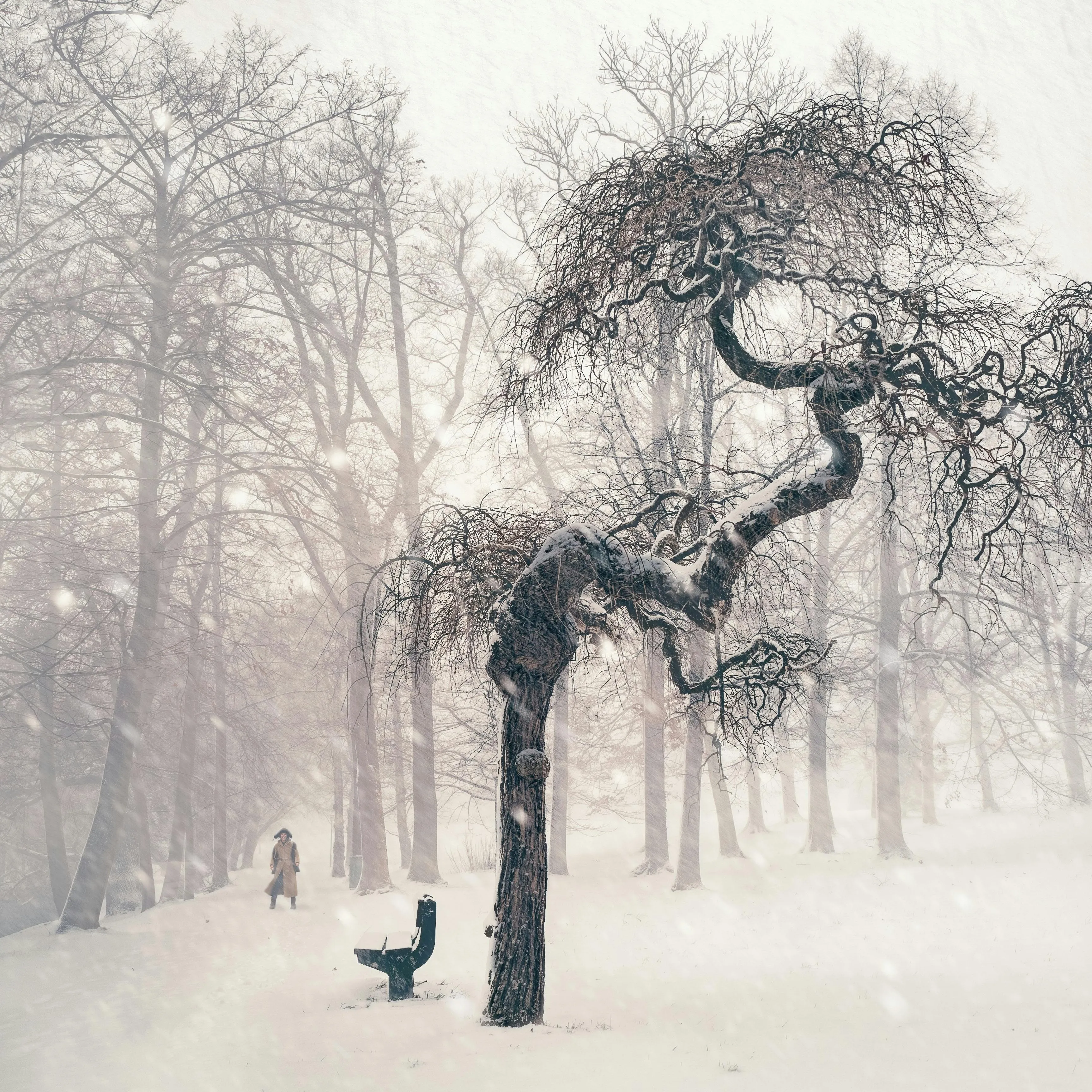 Snowy Forest Path with a Person Walking and a Bent Tree