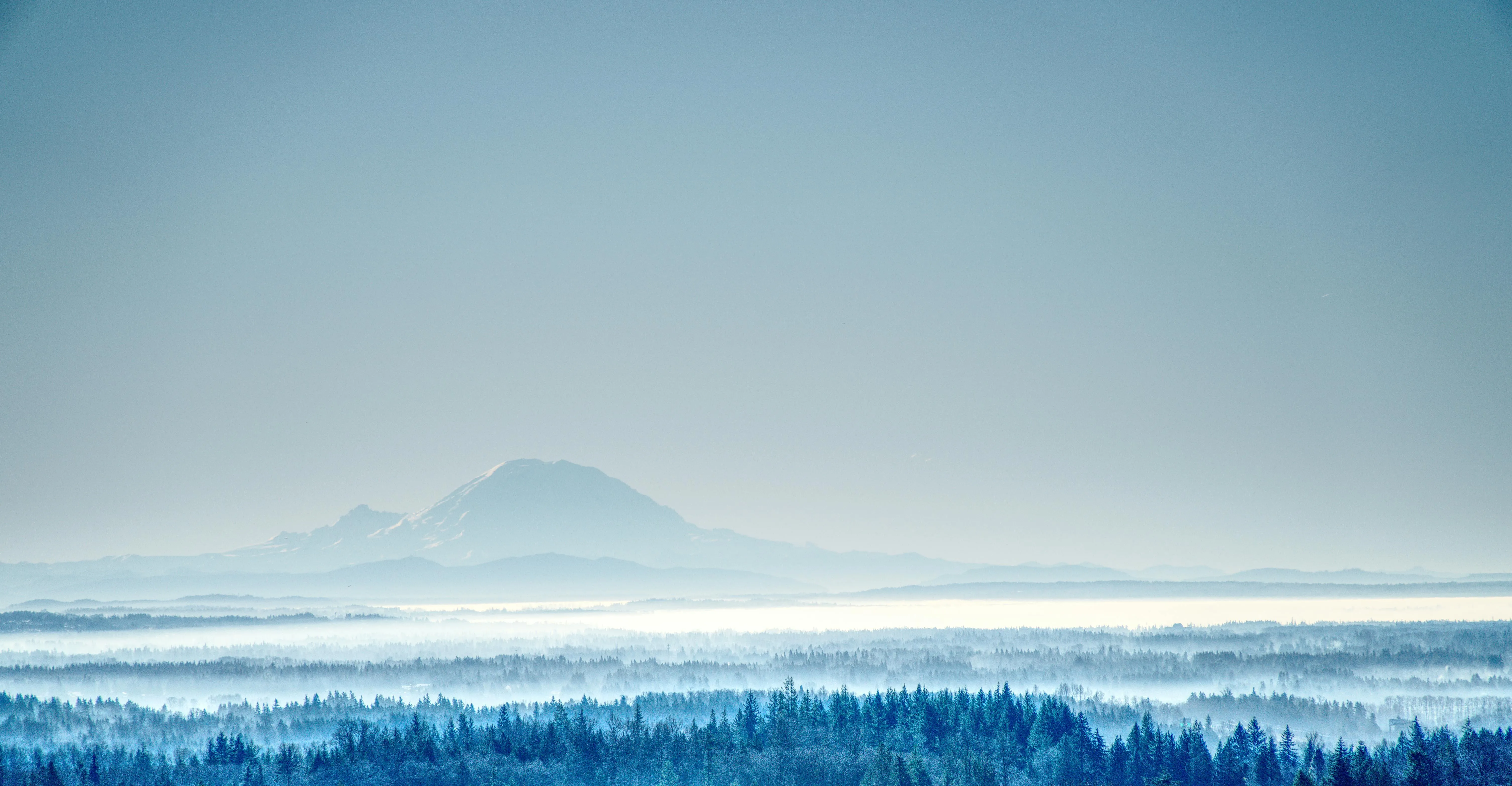 Snowy Forest Valley with a Mountain in the Far Distance