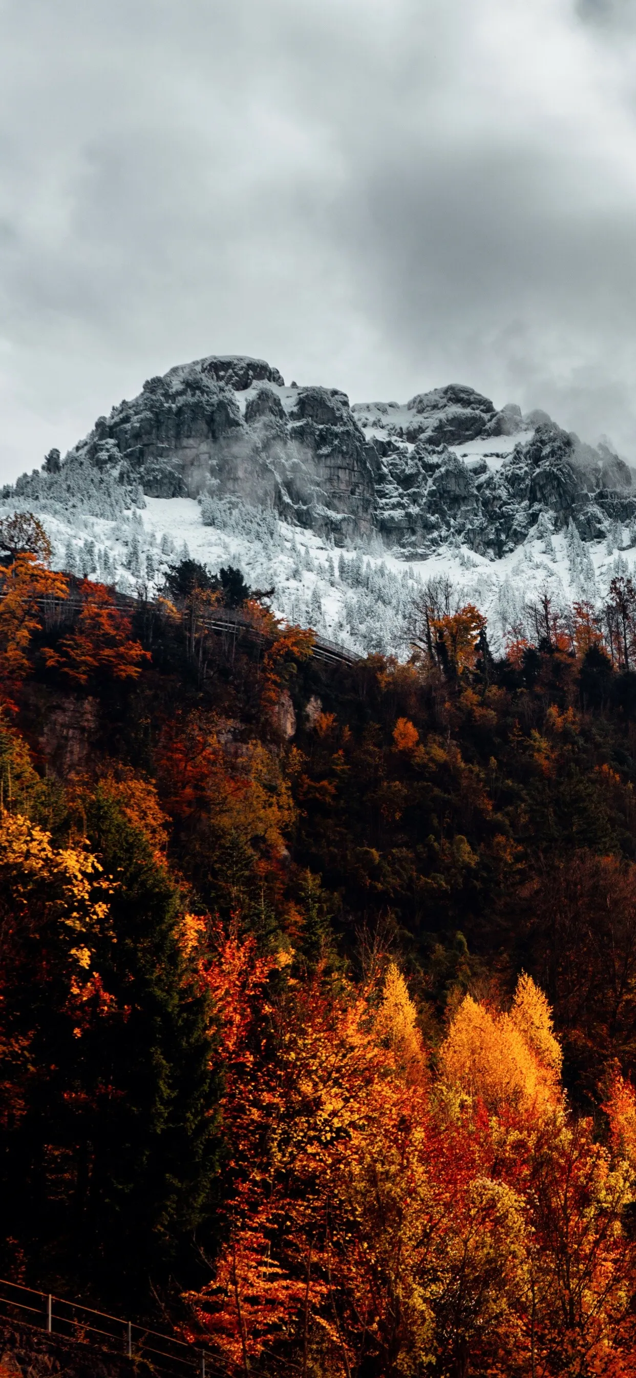 Snowy Mountain Behind Trees with Vivid Autumn Orange Leaves