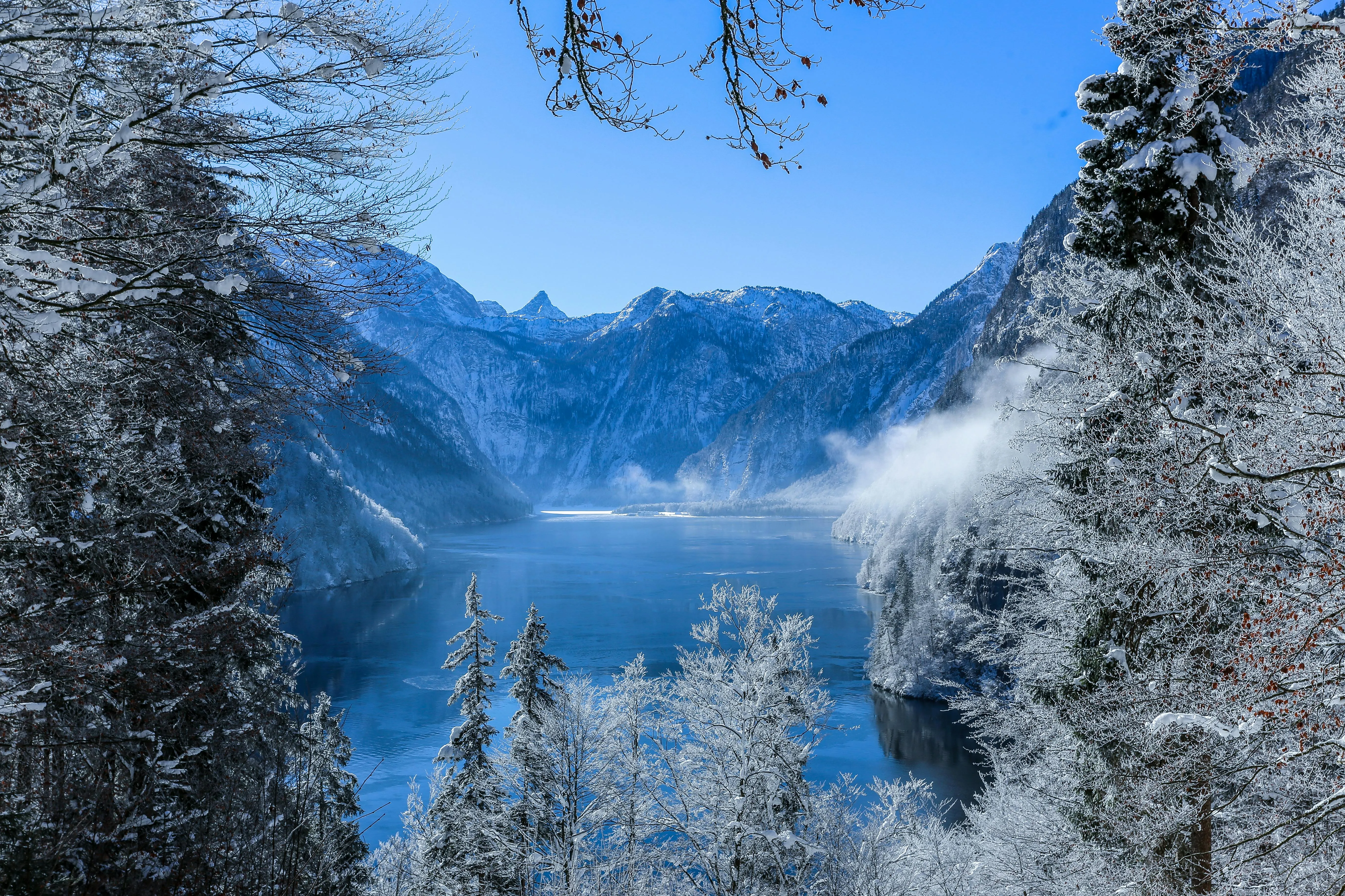 Snowy Mountain Landscape with Pine Trees Covered in Frost