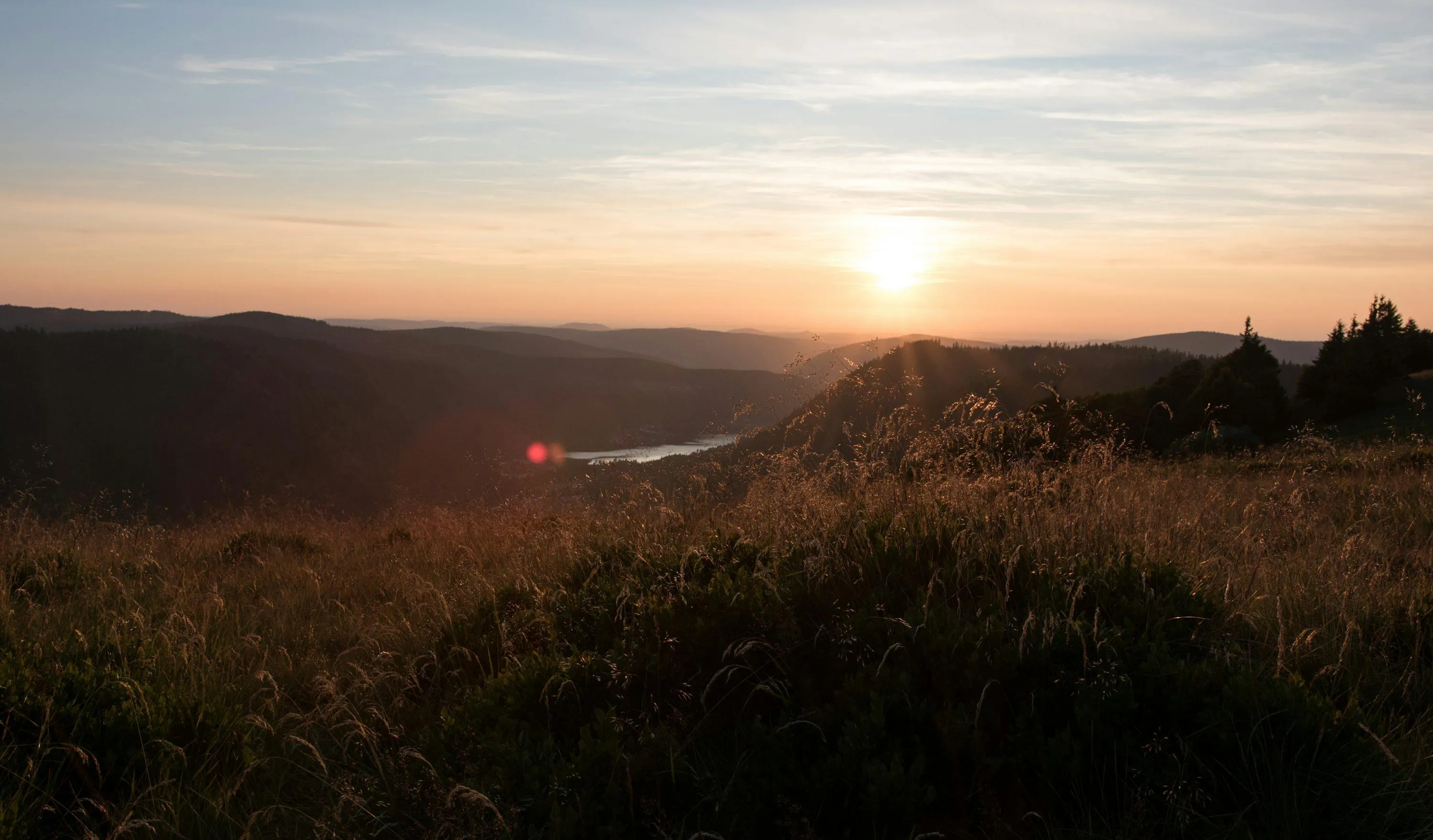 Soft Orange Sunset Over Hills and Distant Trees Wallpaper
