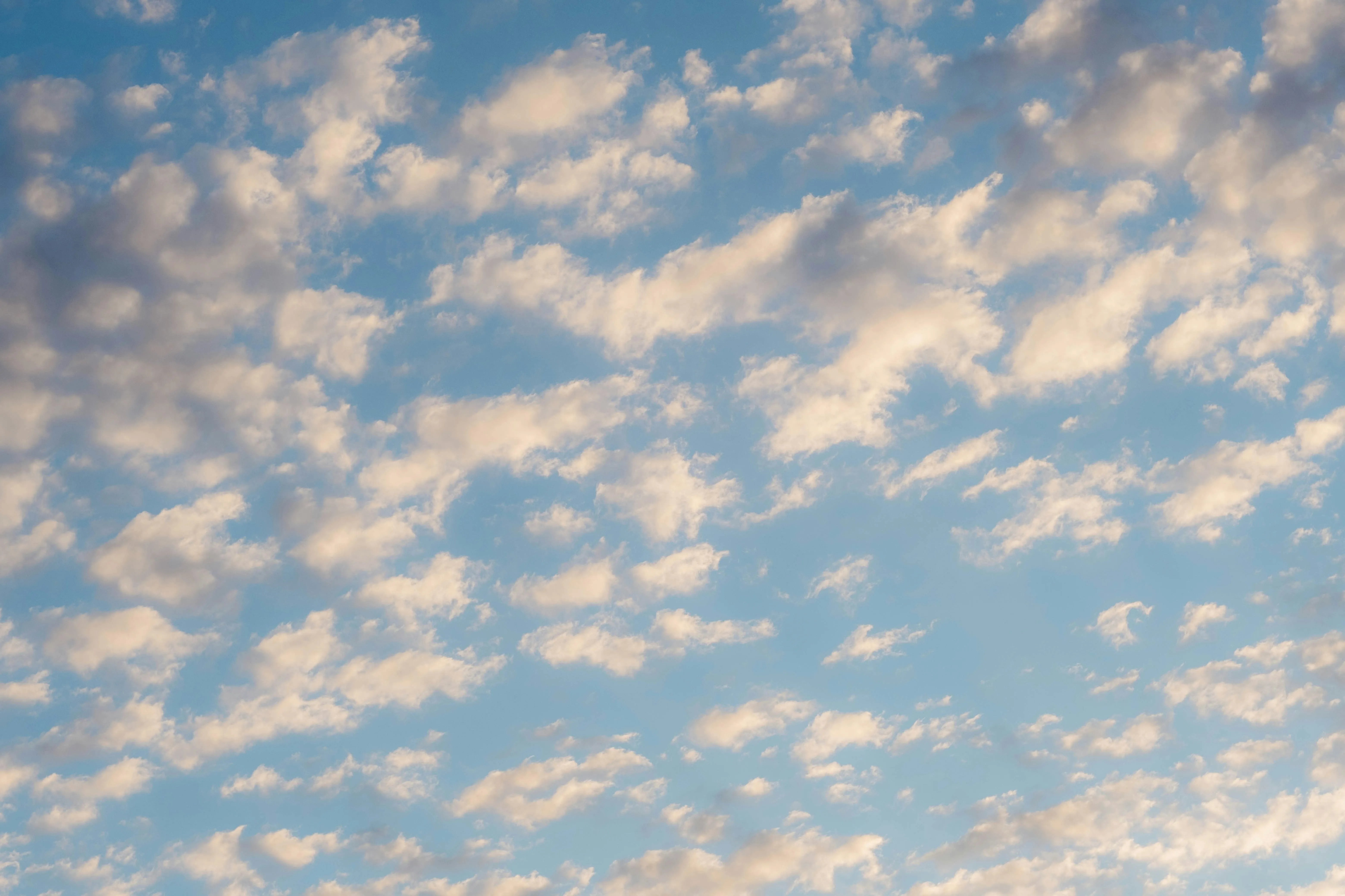 Soft Puffy Clouds Spread Across the Morning Sky Image