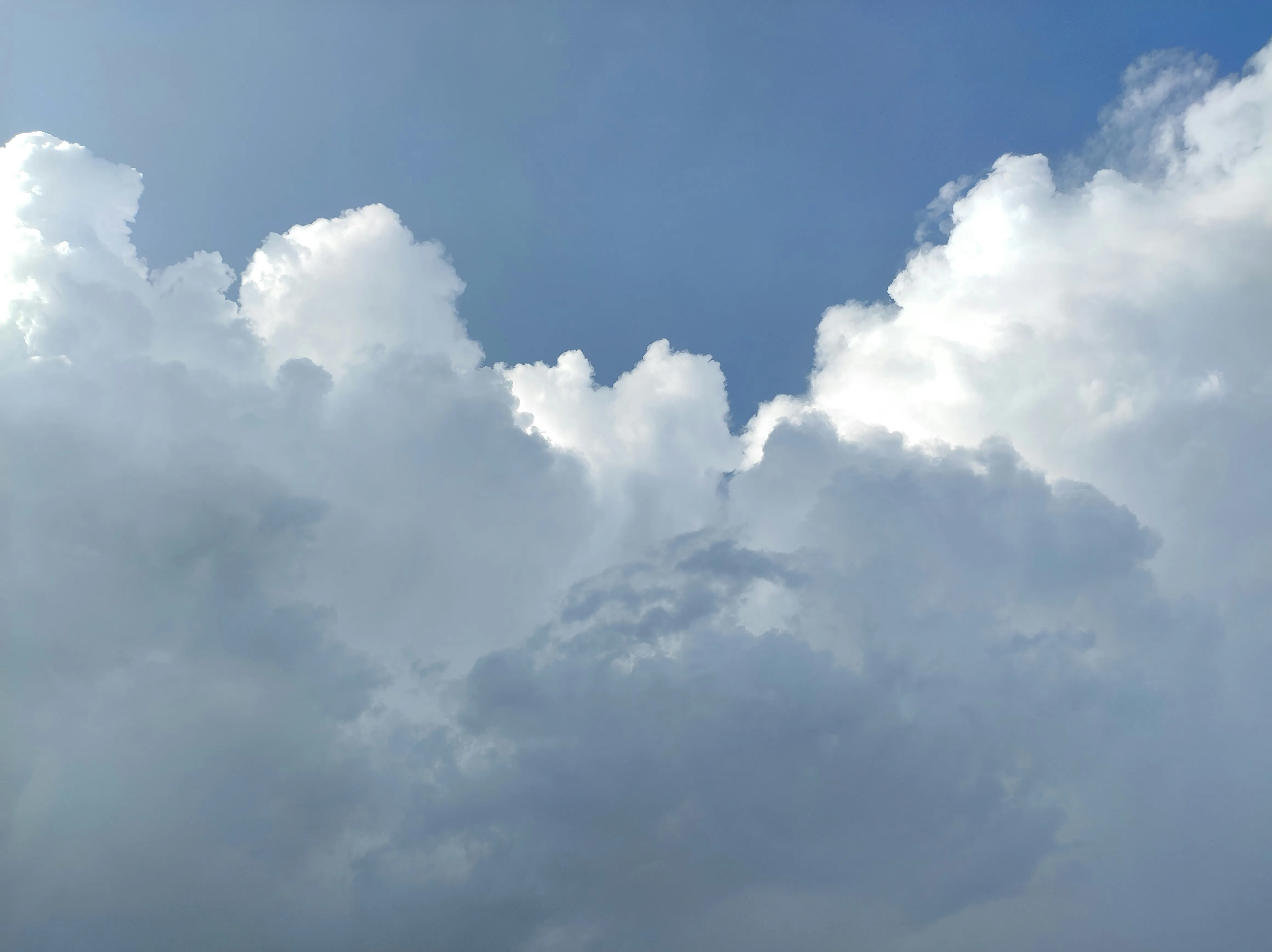 Soft White Clouds Covering Blue Sky in Calm Atmospheric Scene