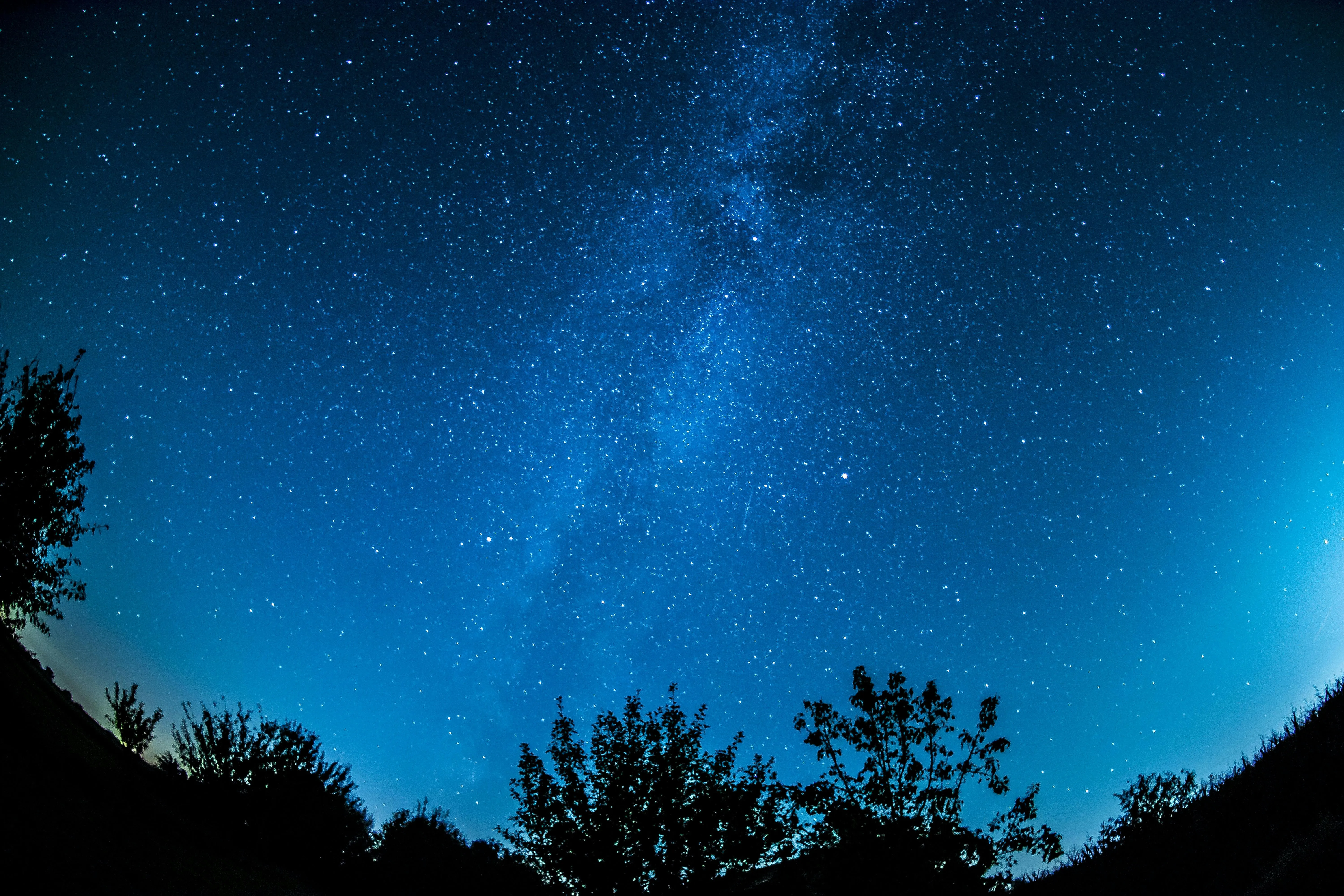 Starry Night Sky Over Forest Captured with Astrophotography