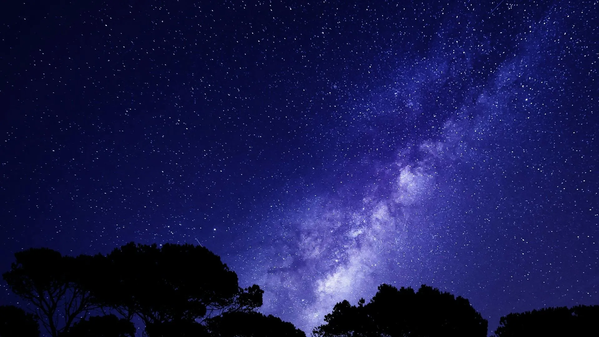Starry Night Sky with Milky Way Over Silhouetted Trees