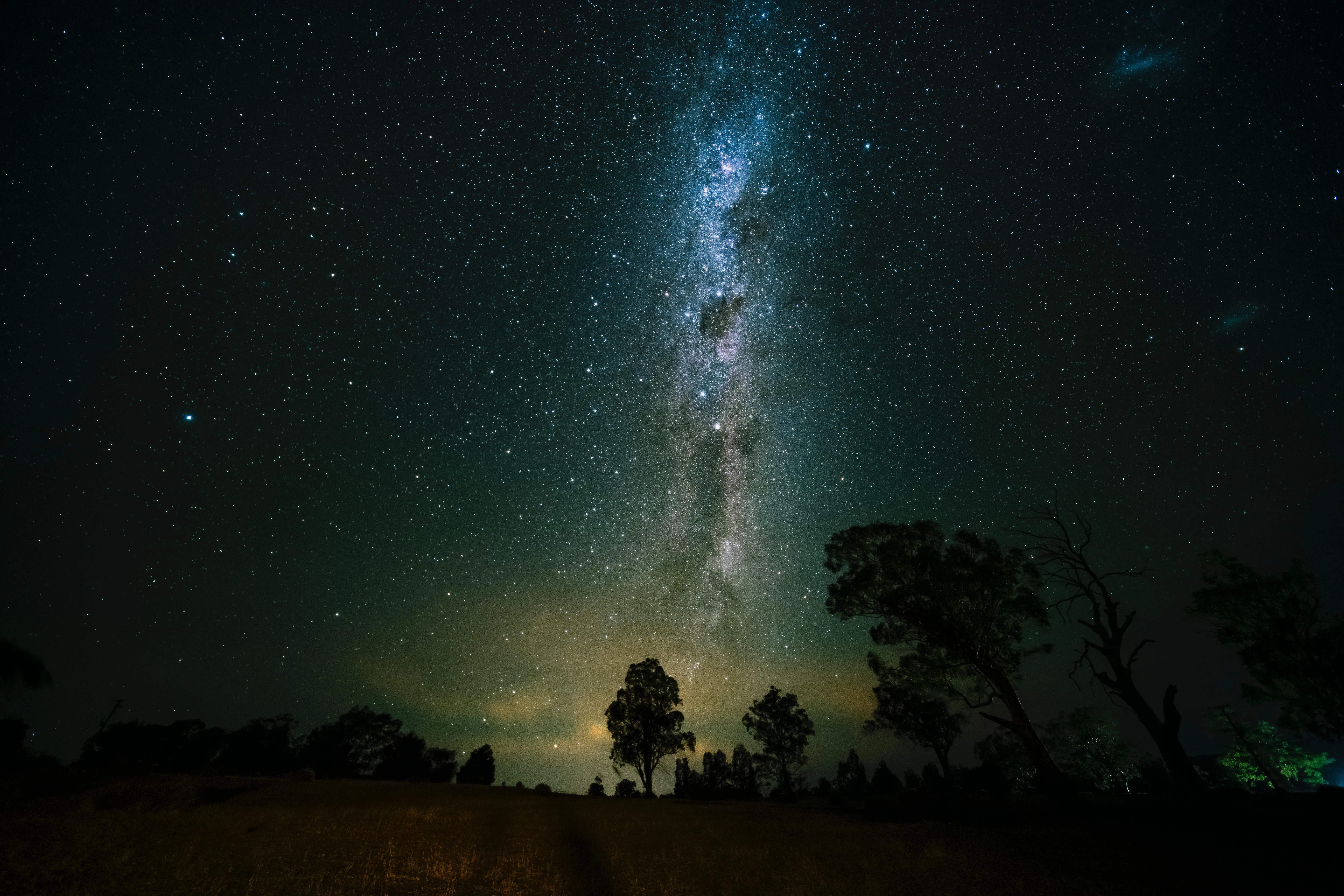 Starry night sky with Milky Way over trees and hills