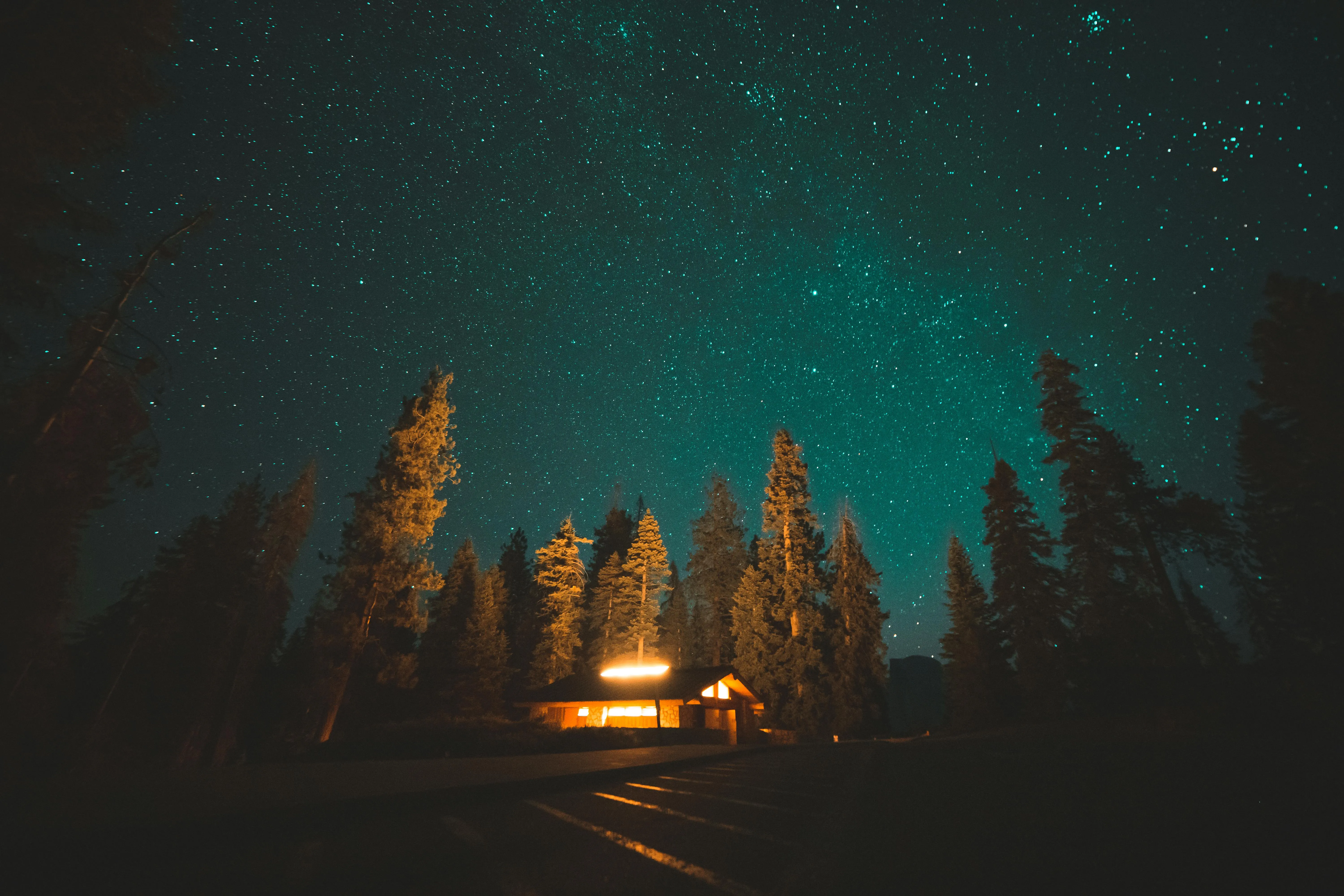 Starry Sky and Pine Trees Under Soft Nighttime Clouds