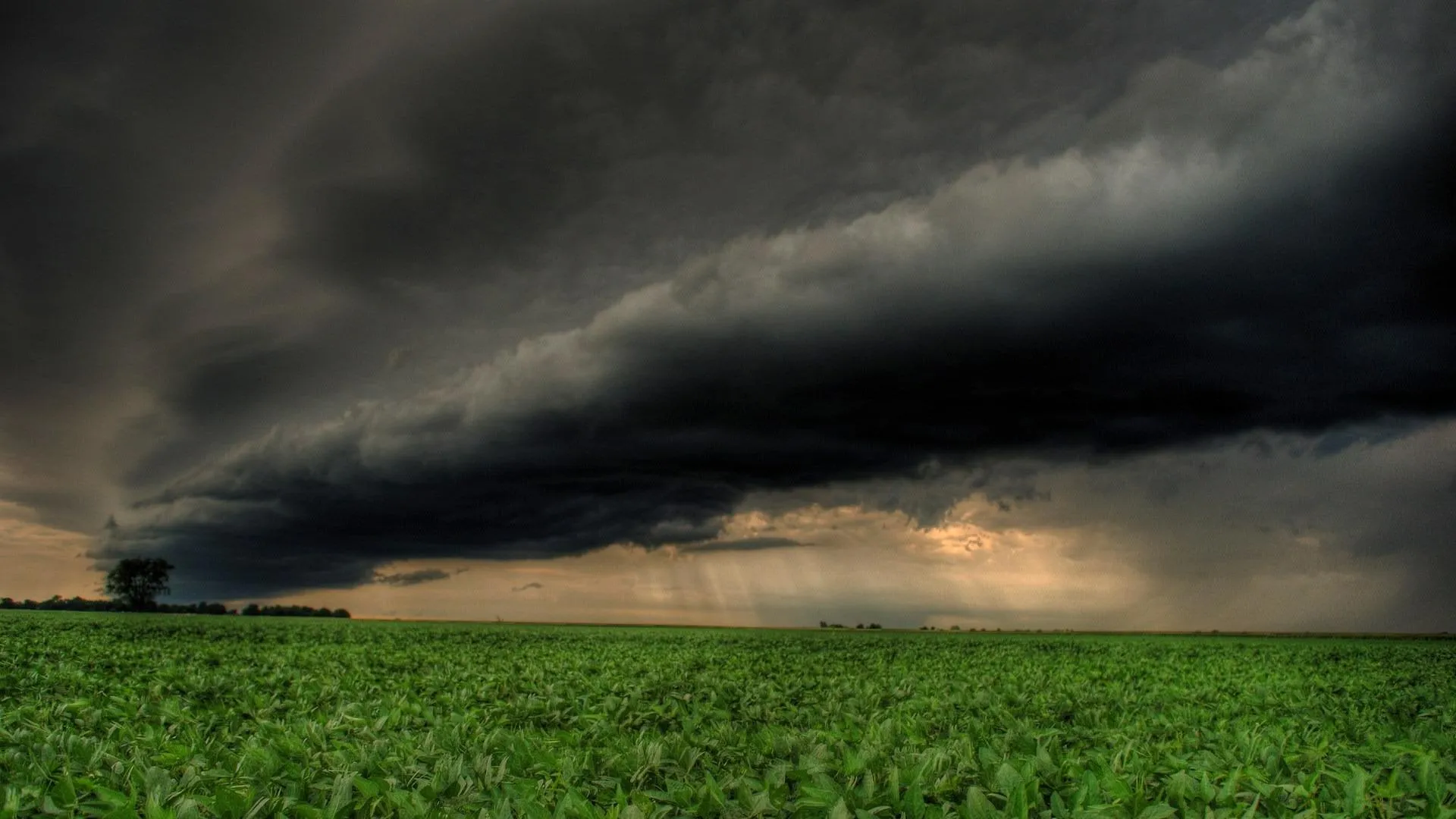 Storm Clouds Looming Over Green Field with Lightning
