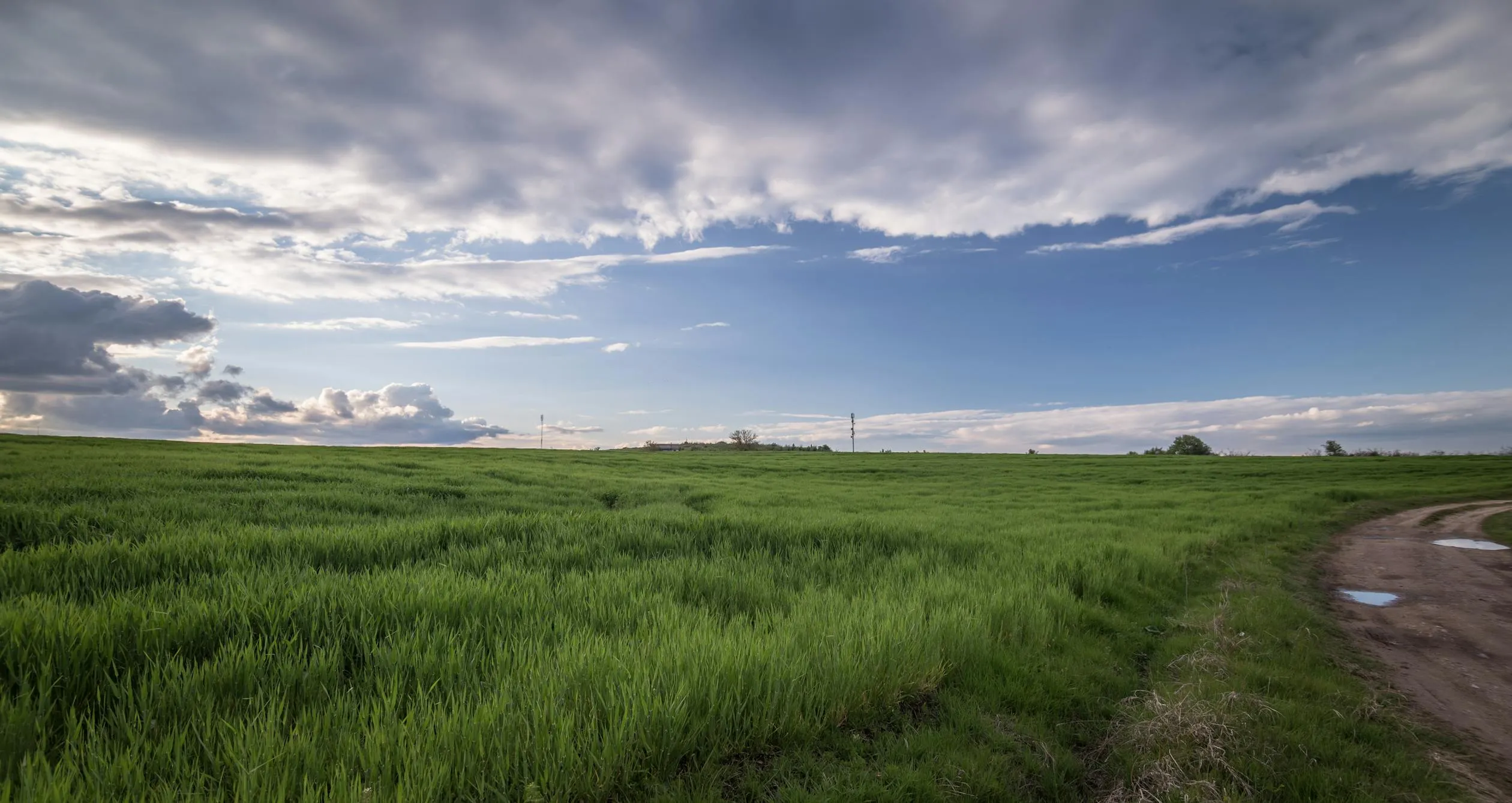 Stunning Green Field Landscape Under a Beautiful Sky