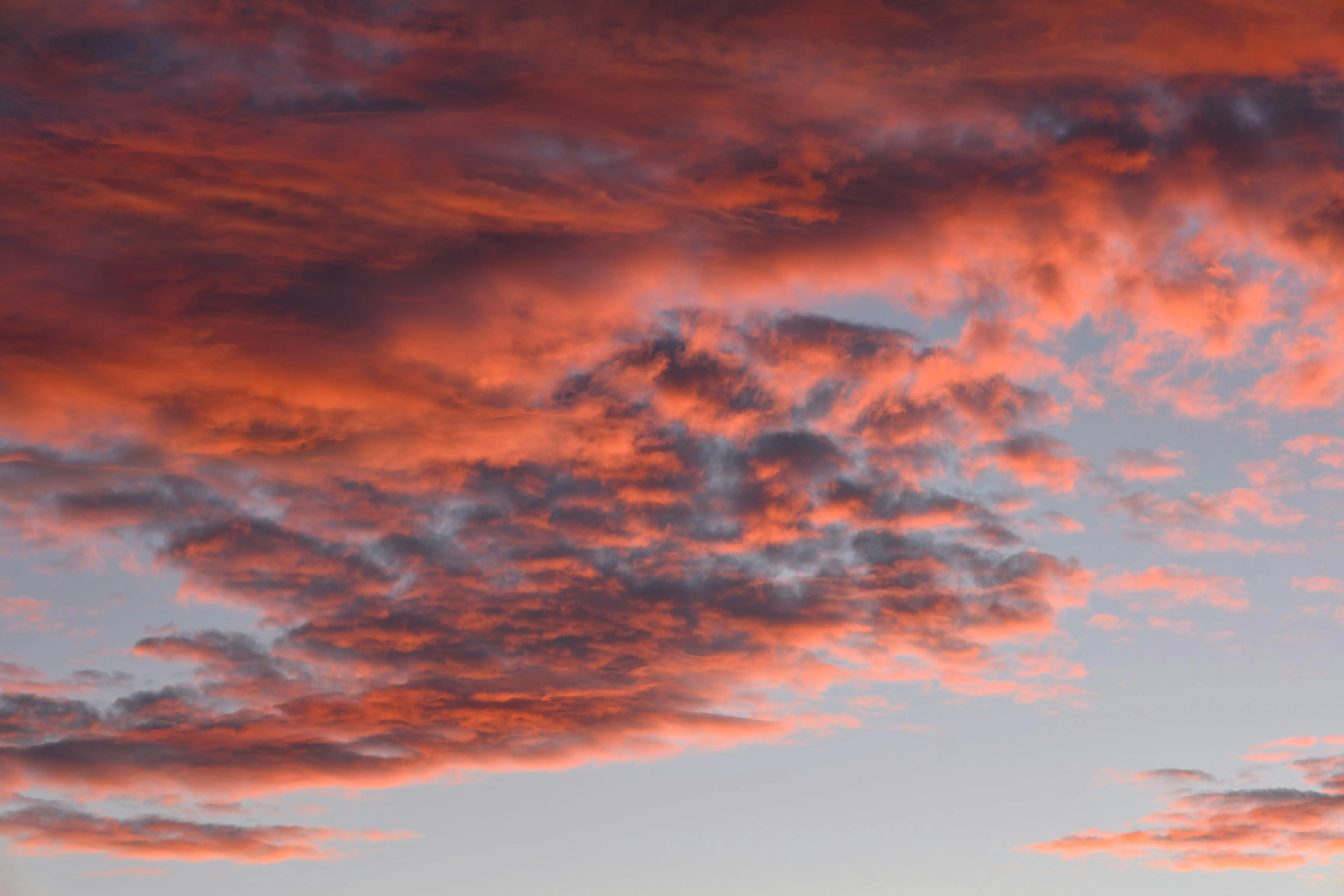 Stunning Red and Pink Sunset Clouds in the Evening Sky