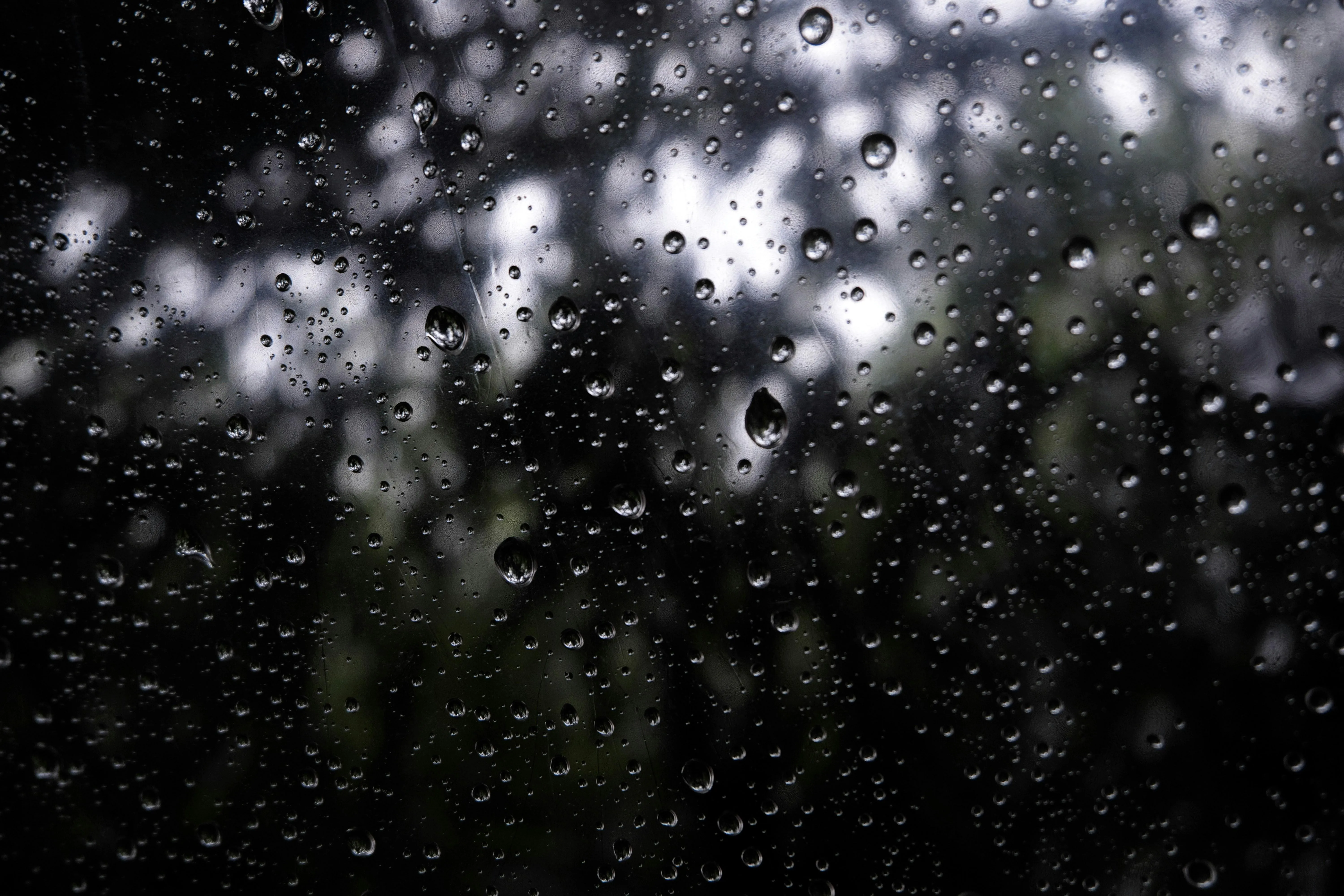 Sunlight Through Trees During Light Rainfall Scene