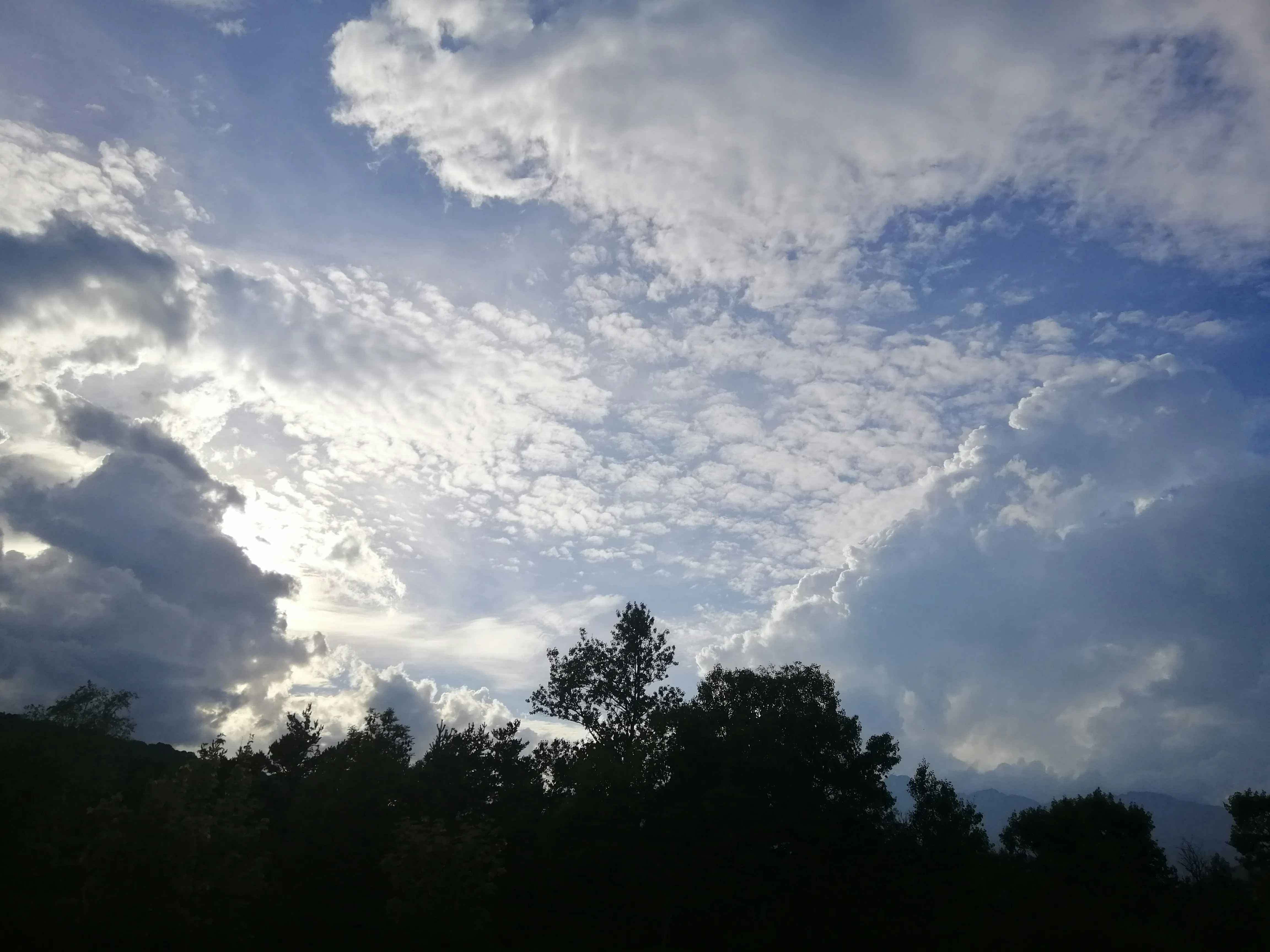 Sunlit Clouds Over Treetops with Layered Sky Tones