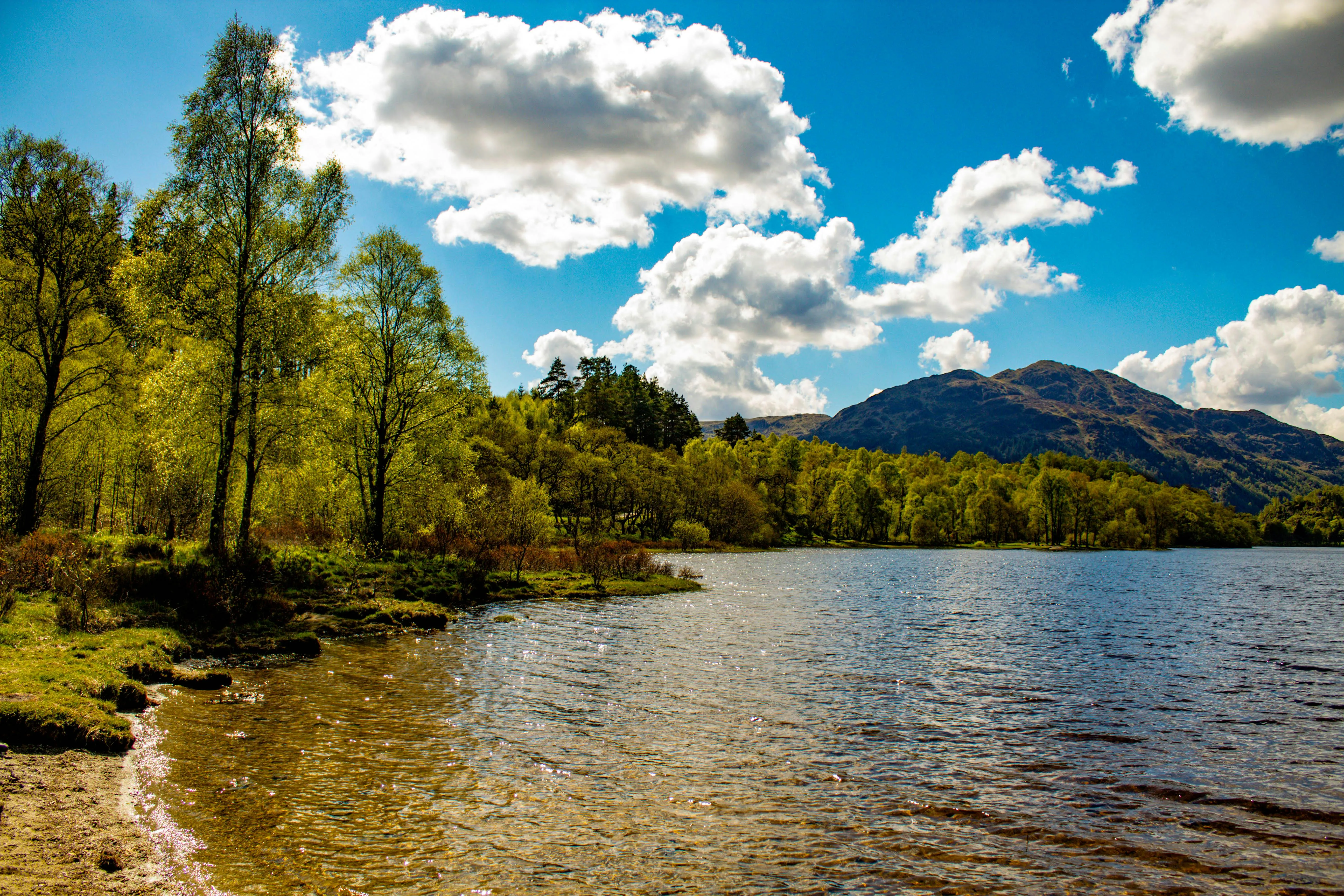Sunny Forest Lake with Calm Water and Mountains HD Wallpaper