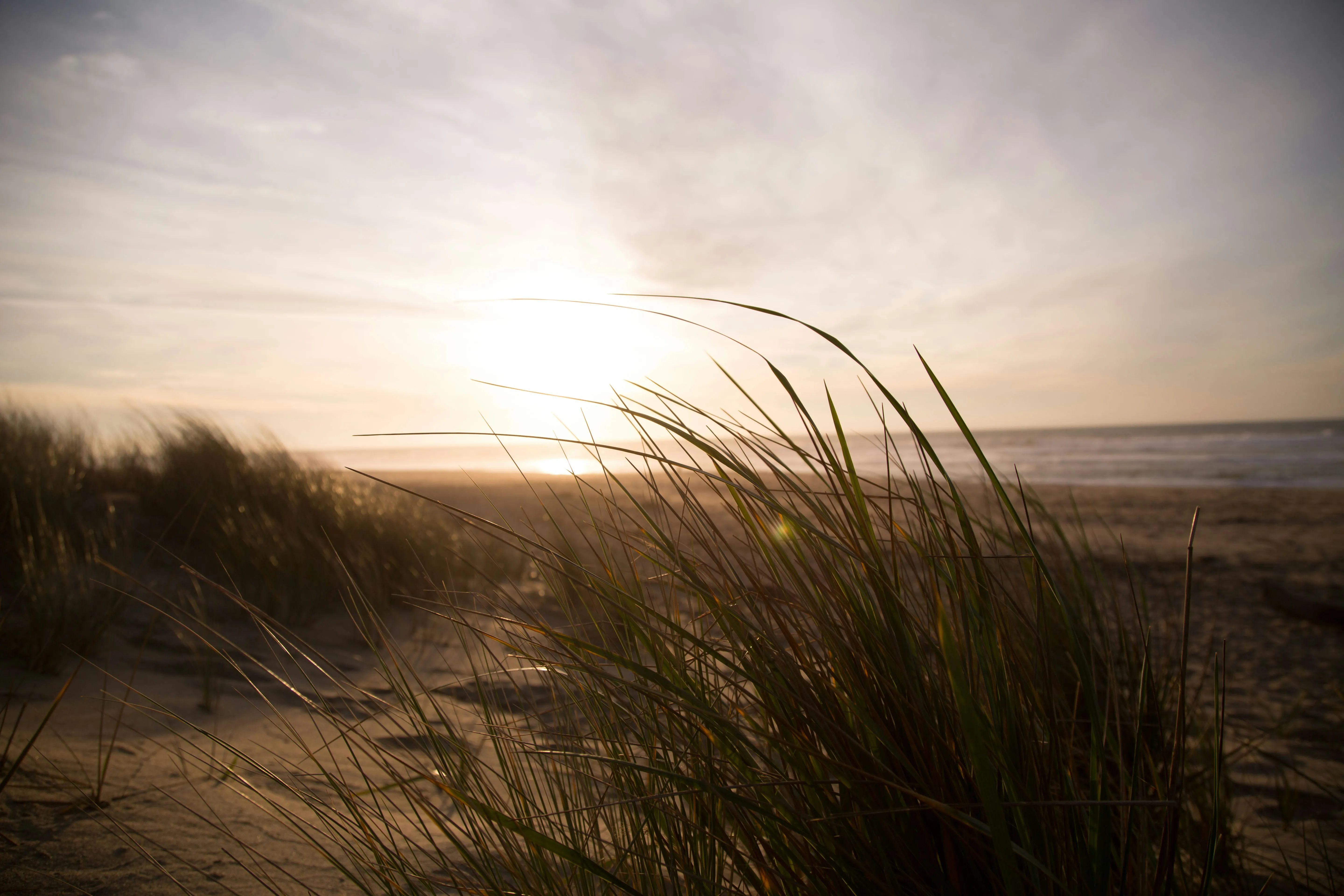 Sunset Light Casting Warm Glow Over Grass in Foreground