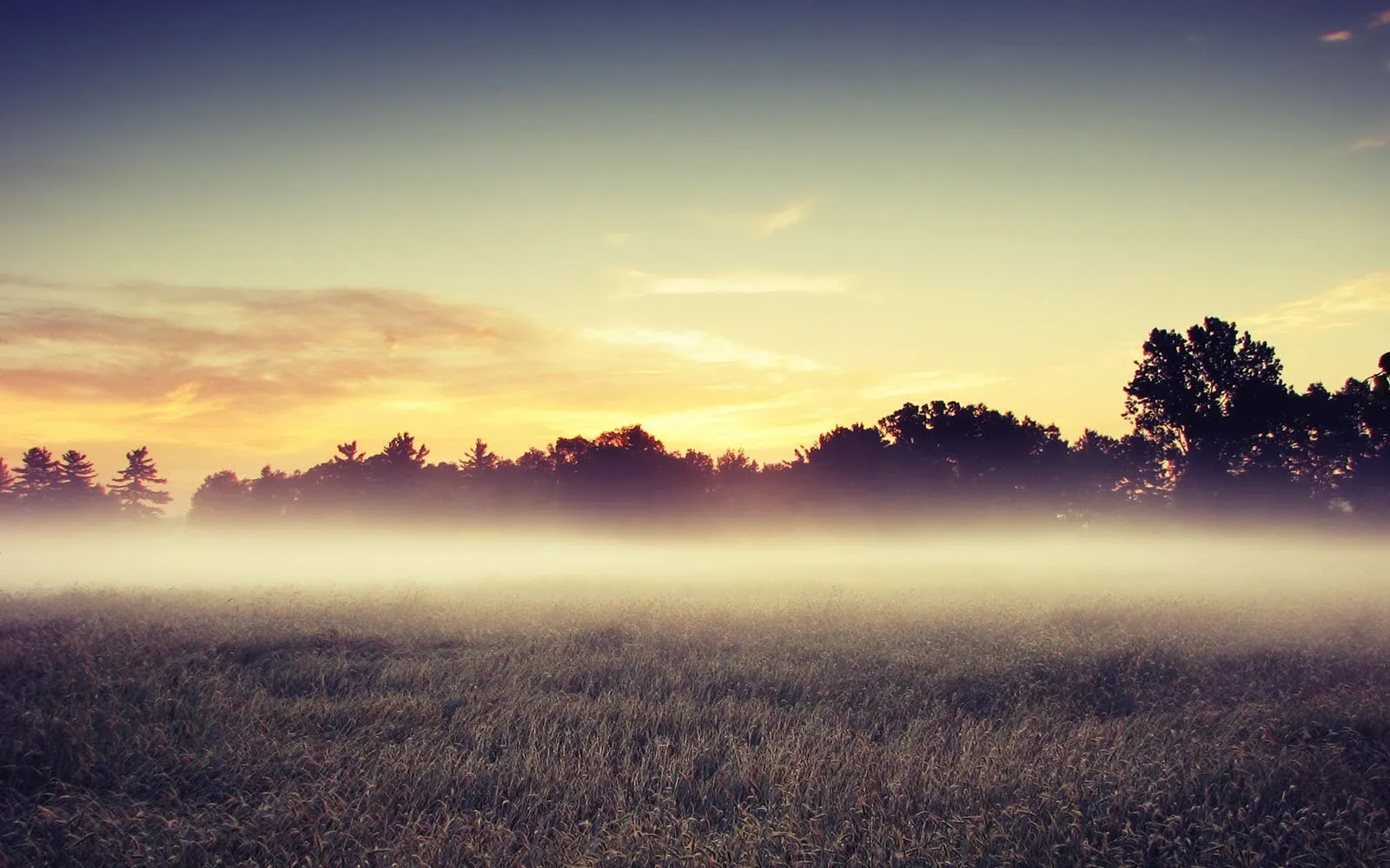 Sunset Over Field with Purple and Orange Colored Clouds