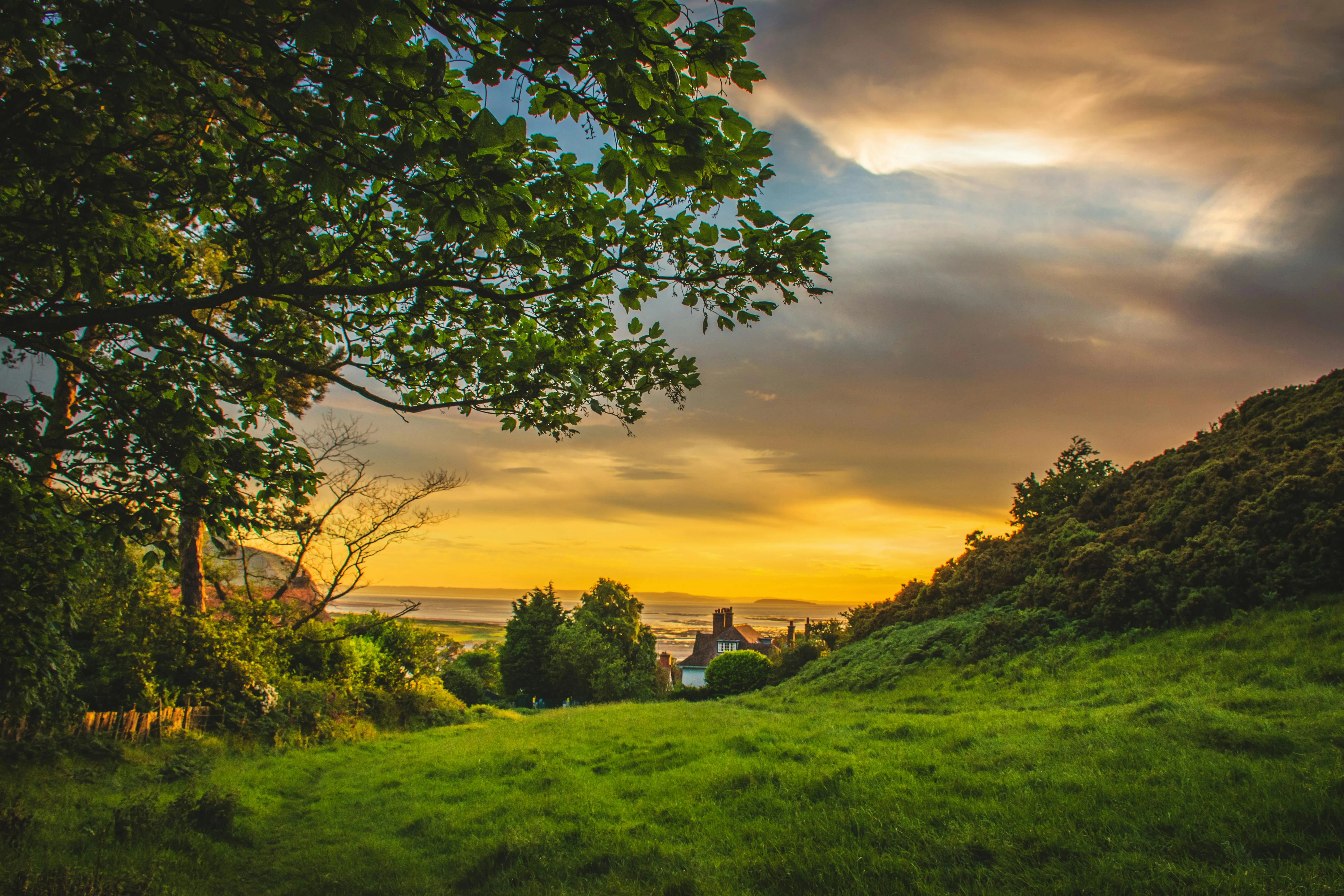 Sunset Over Green Hills with Vibrant Trees and Clouds Above