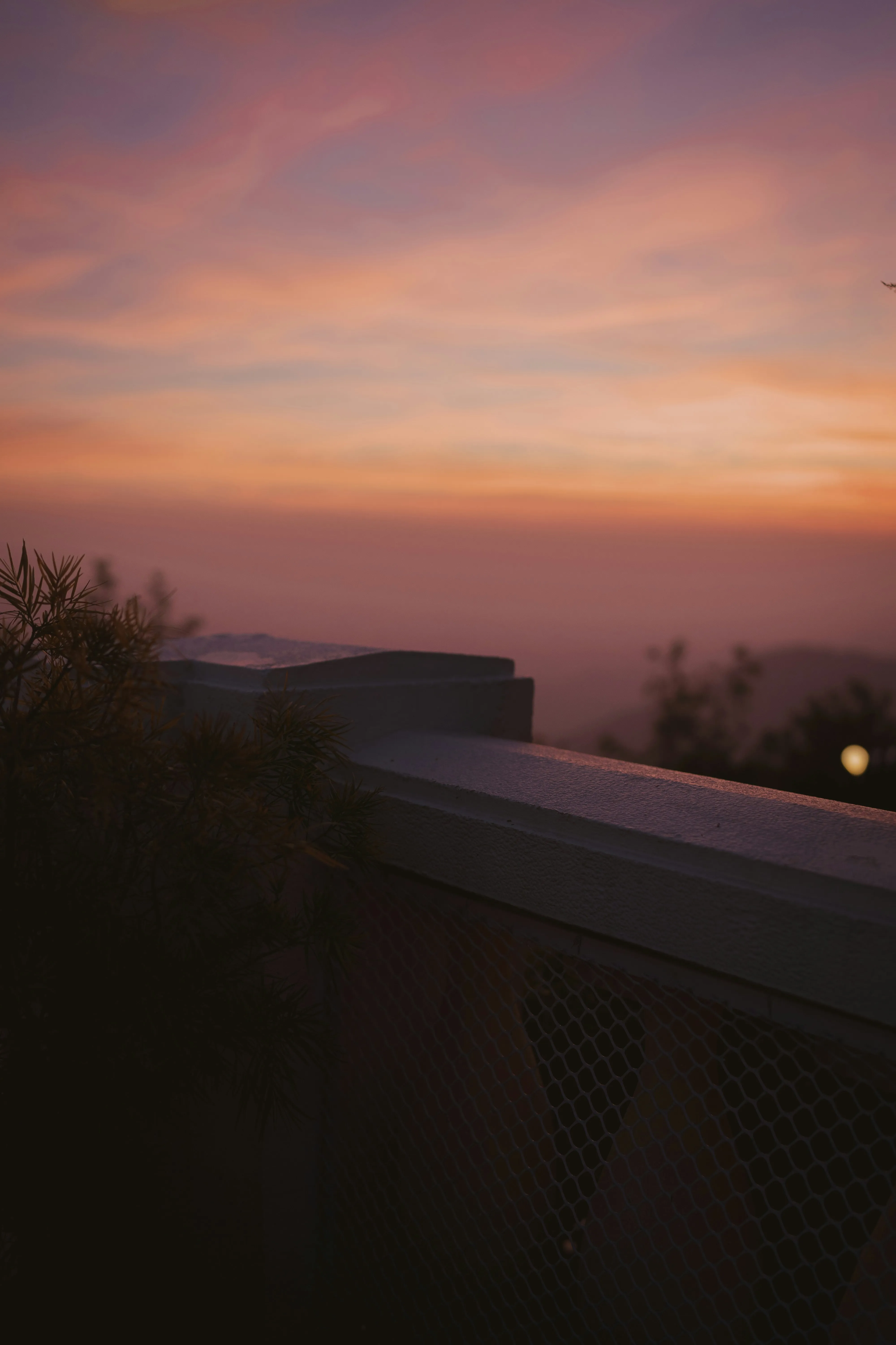 Sunset Over Houses with Pink and Purple Cloud Sky Wallpaper