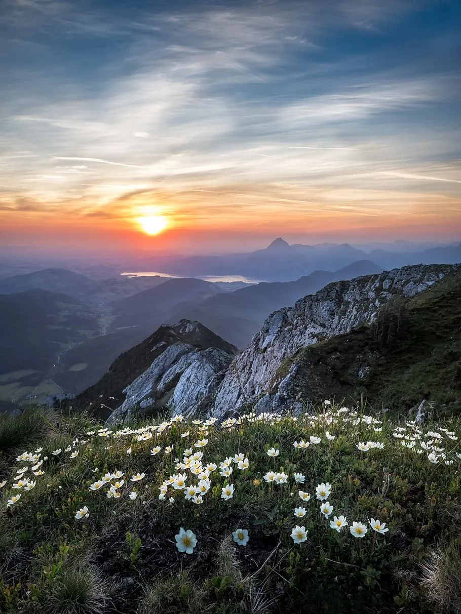 Sunset Over Mountain Landscape with Flowers and Clouds