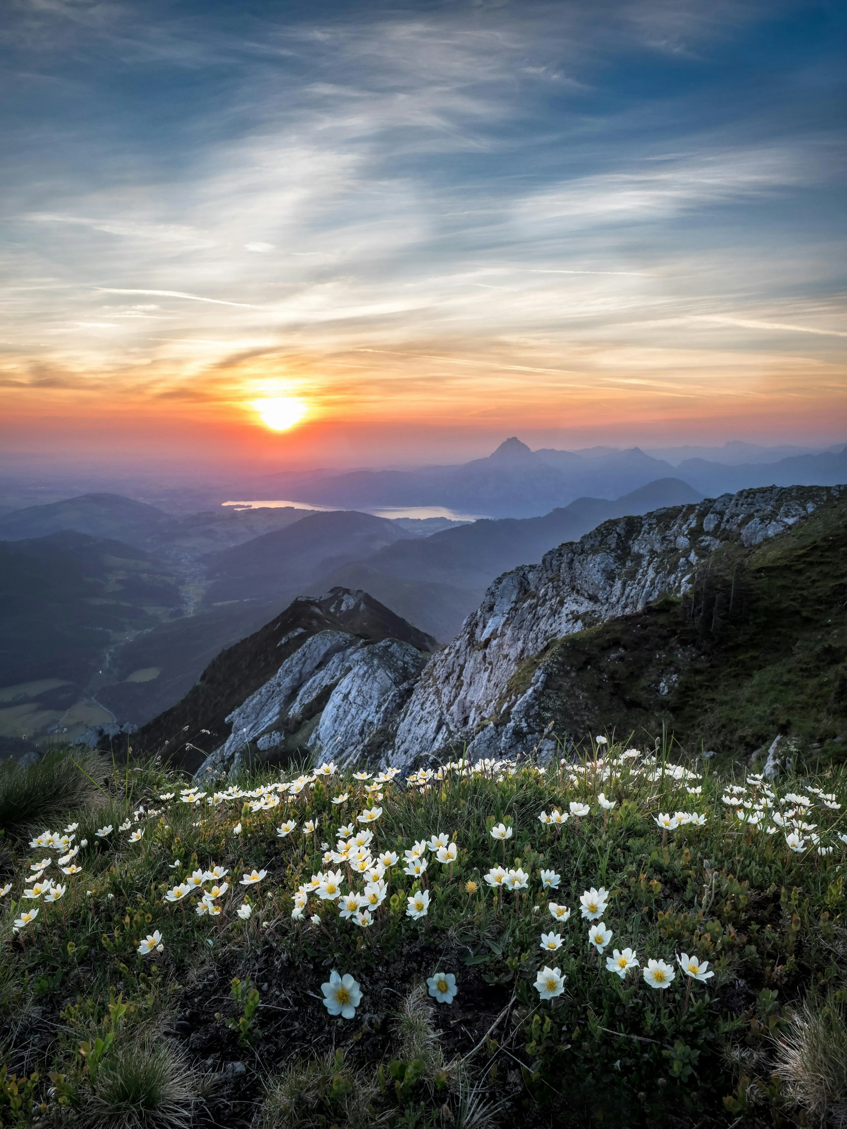 Sunset Over Mountain Range with Wildflowers in Foreground
