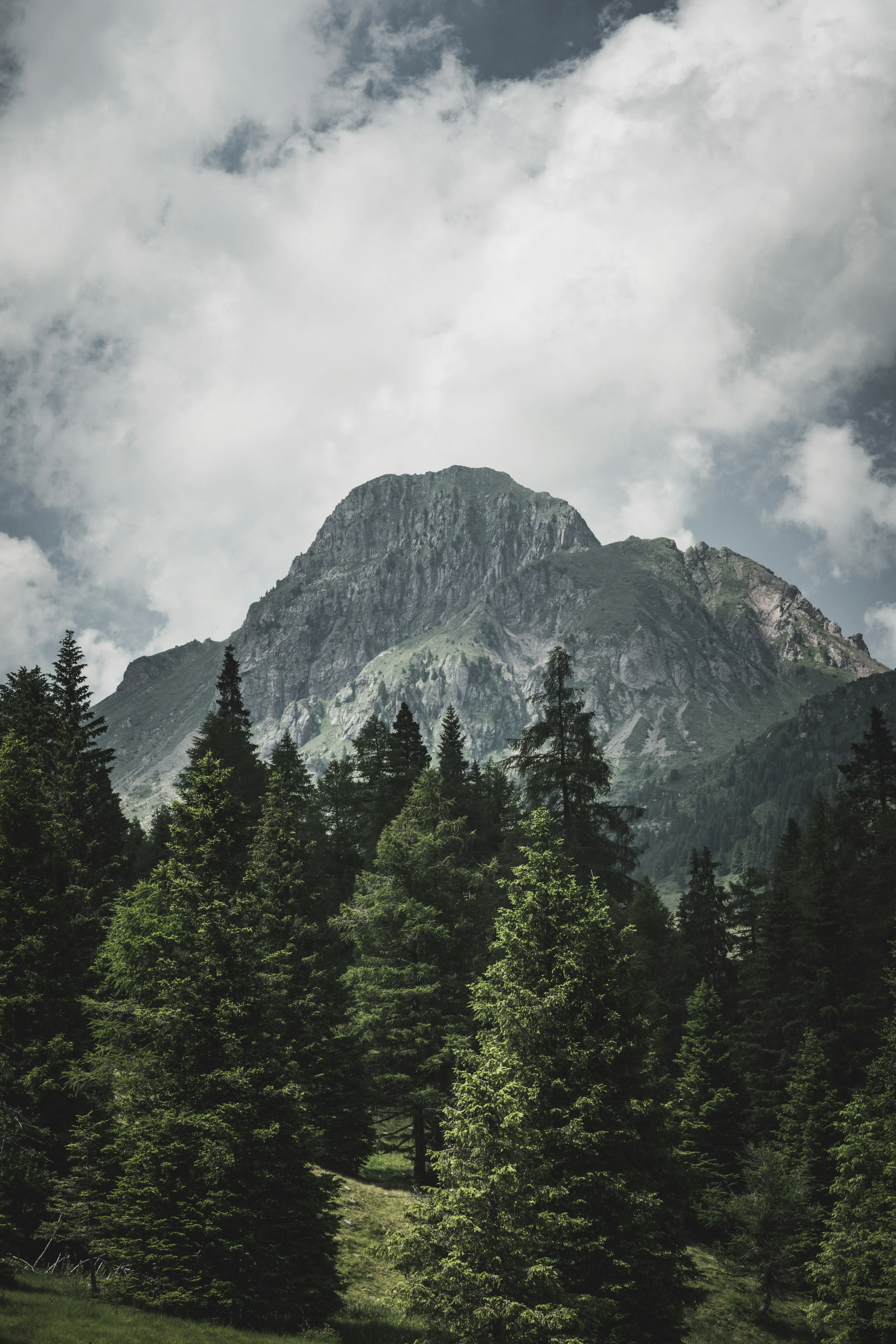 Tall Mountain Peak Surrounded By Green Forest and Cloudy Sky