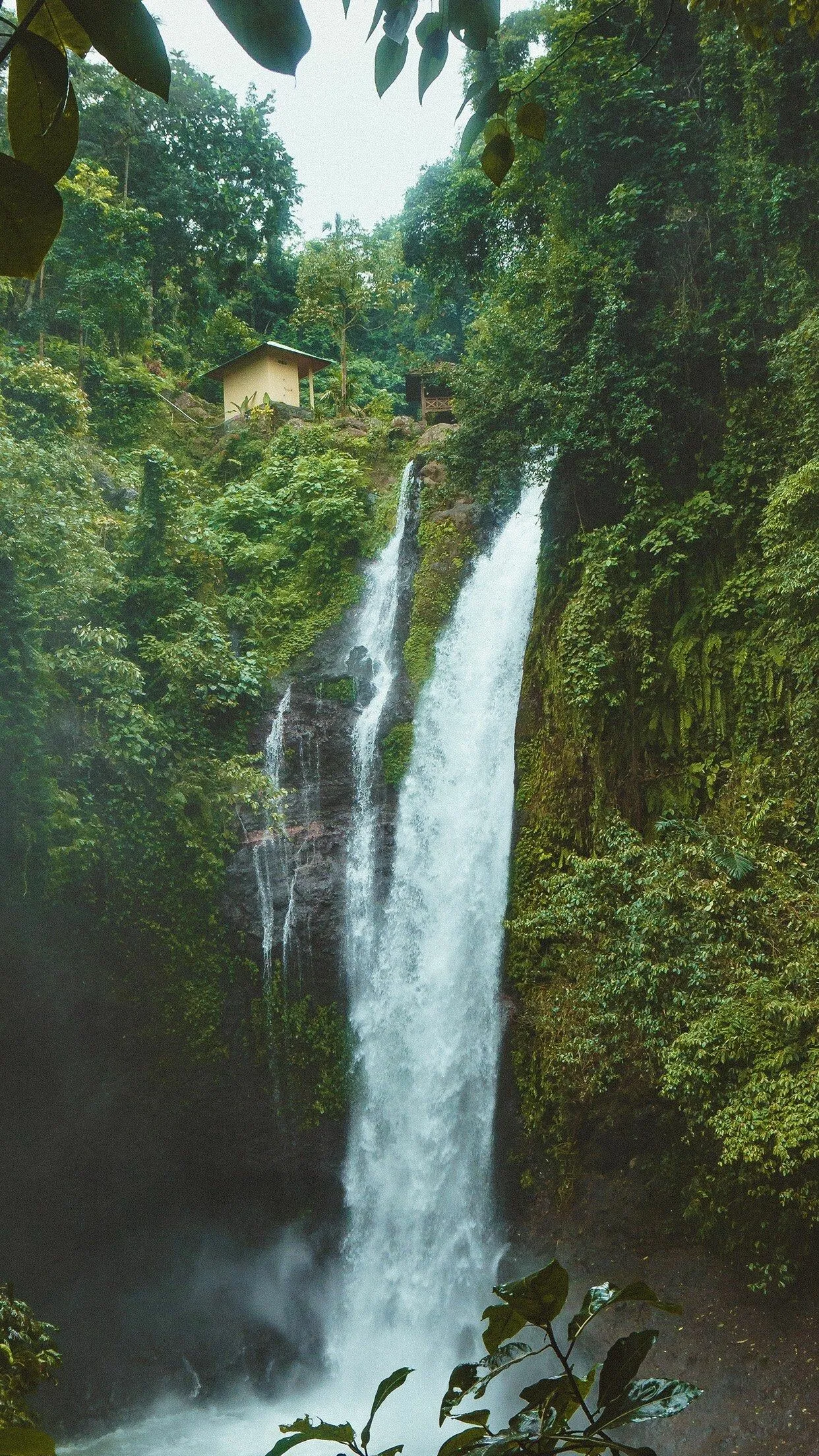 Tall Waterfall Cascading Down Mossy Rocks in a Green Forest
