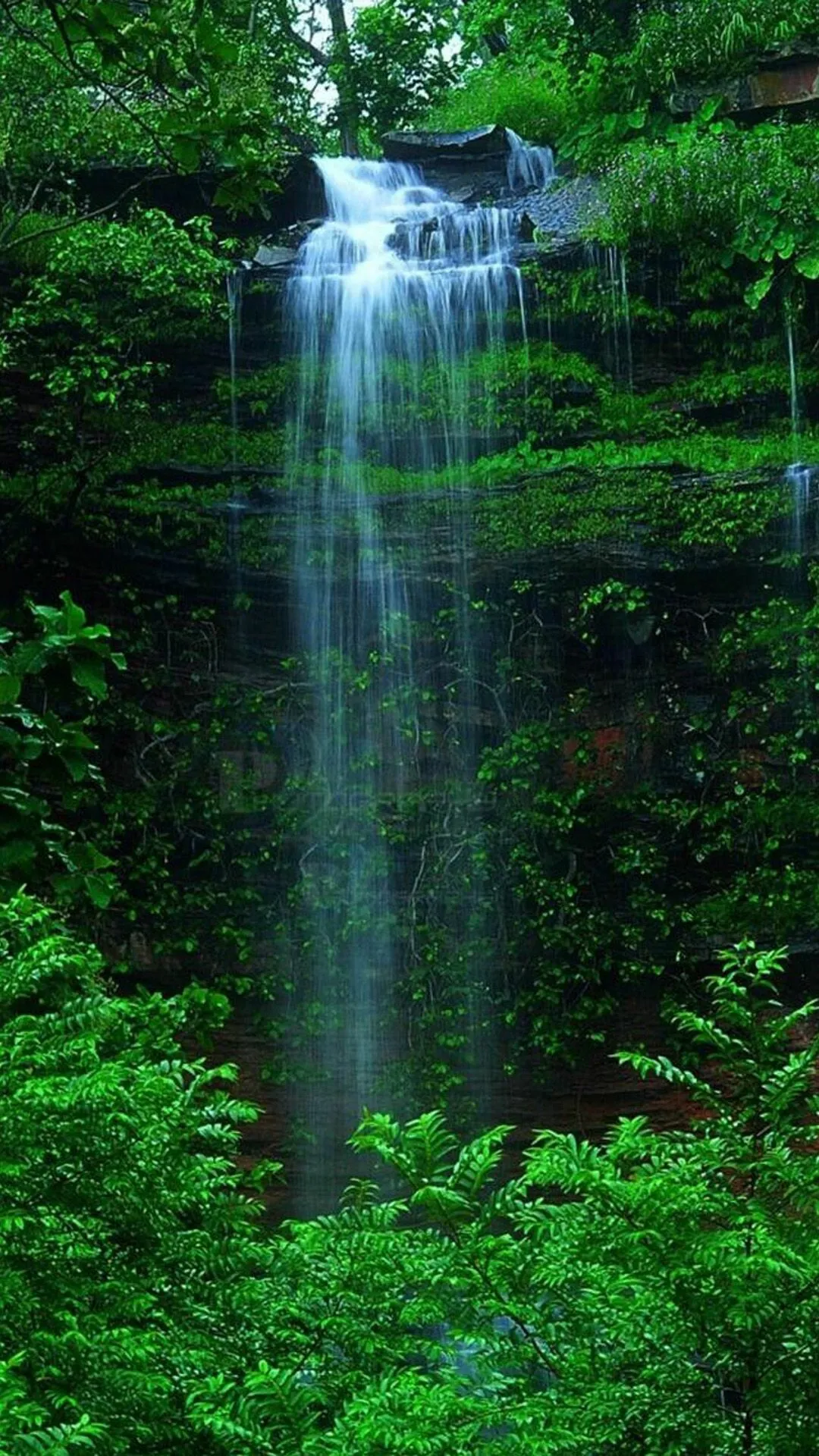 Tall Waterfall Flows Down Mossy Rocks in a Lush Forest