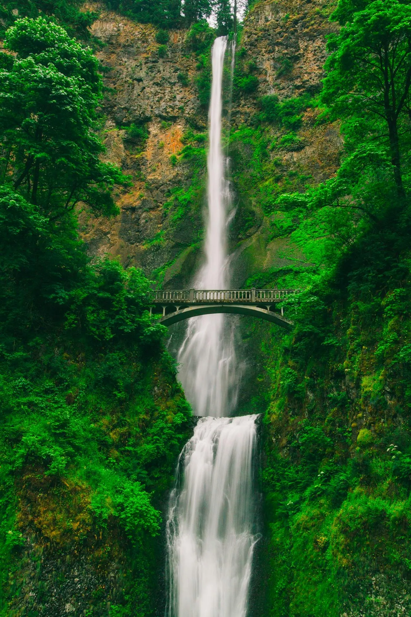 Tall Waterfall Flows Under a Bridge in a Green Forest Canyon