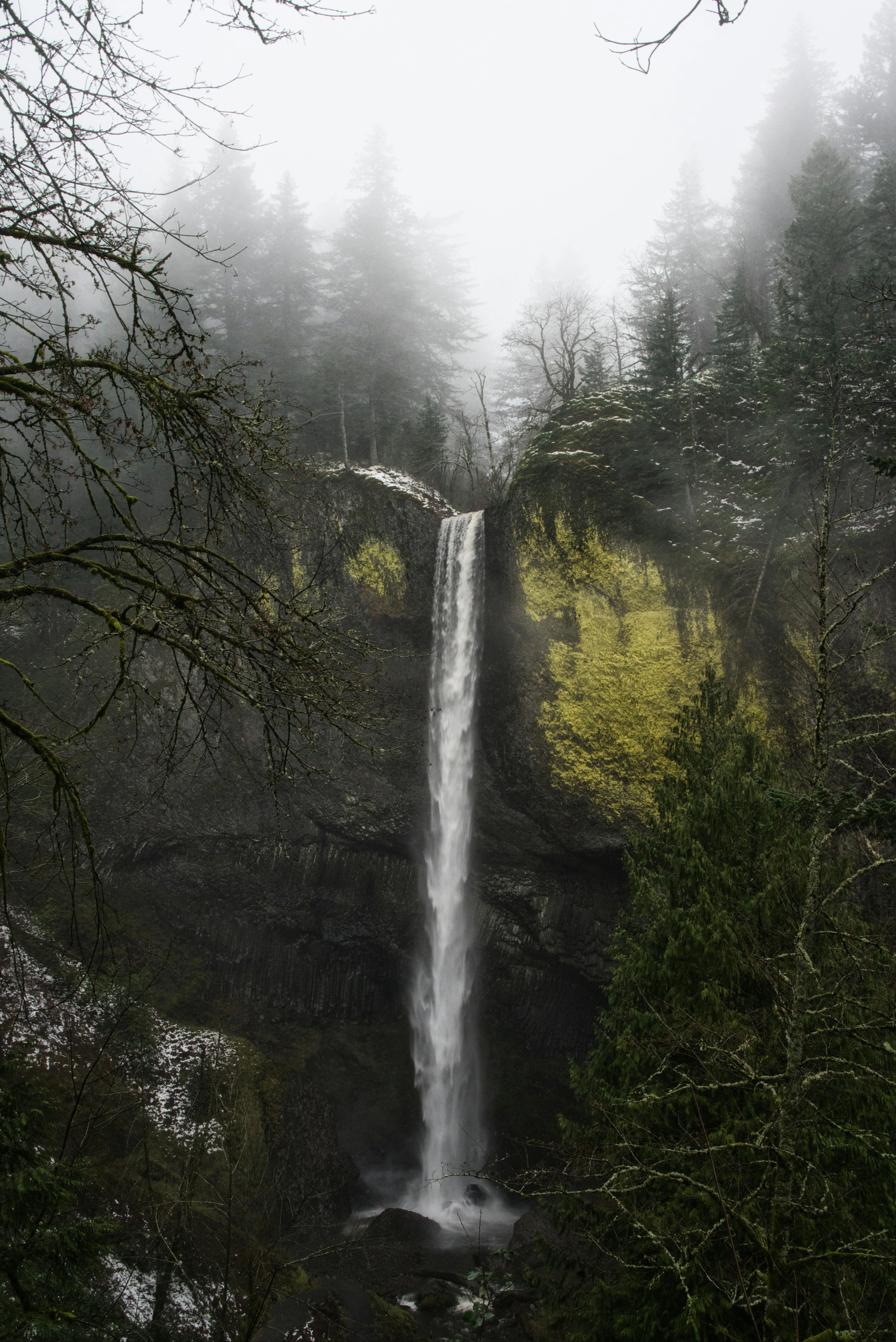 Tall Waterfall Plunging Through Misty Pine Covered Cliffs