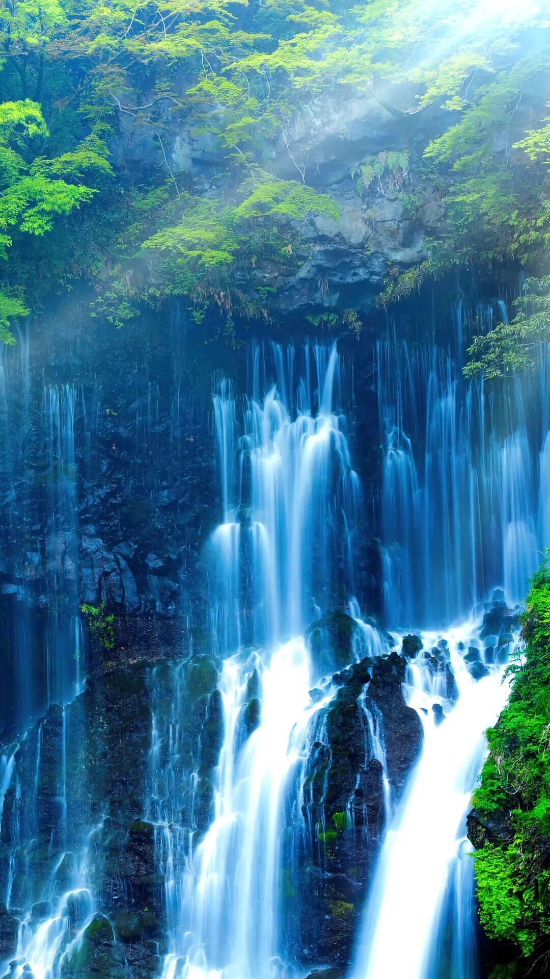 Tall Waterfall Rushing Down a Cliff in a Green Forest