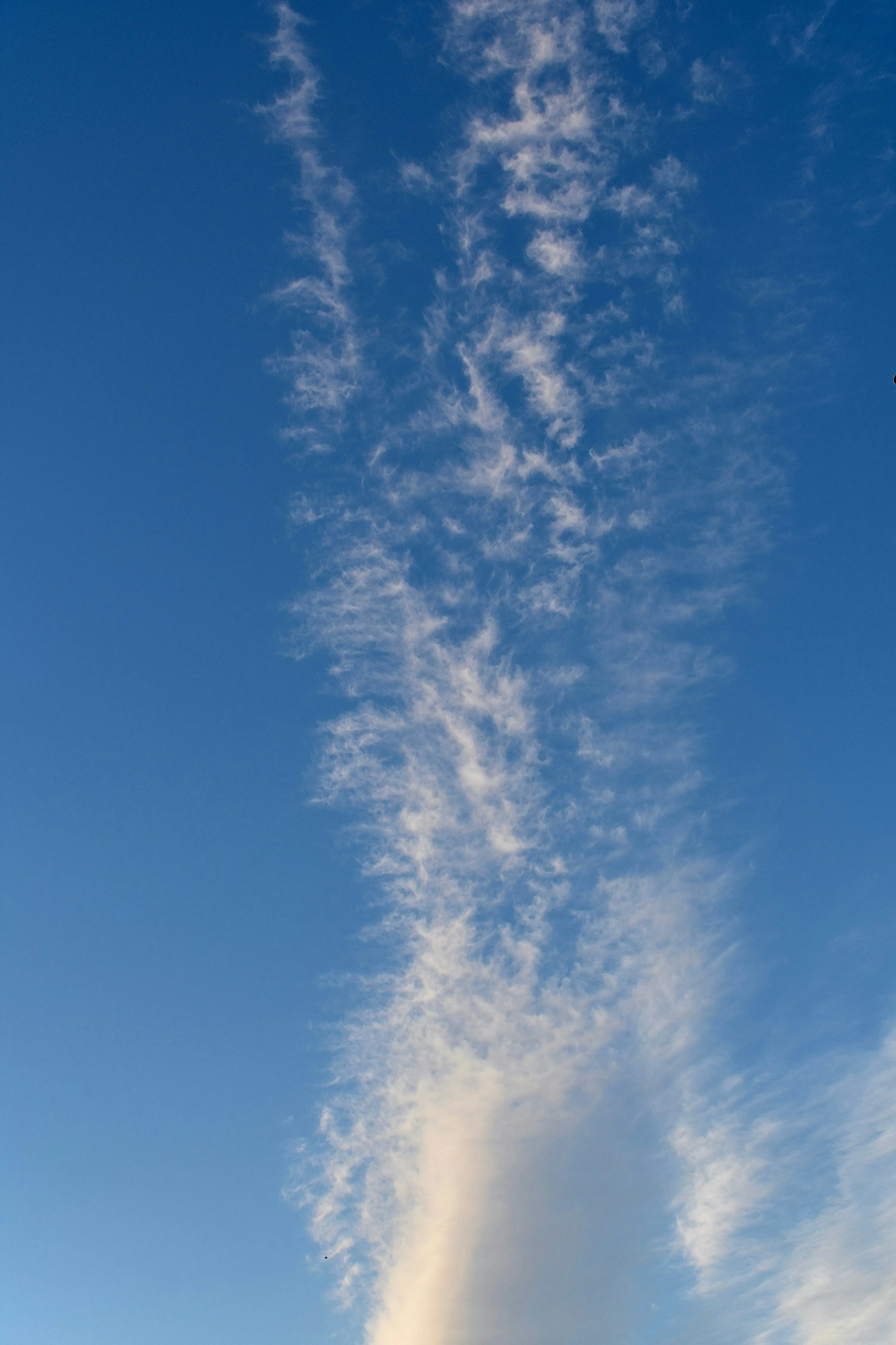Tall White Cloud Stretching High Into the Deep Blue Sky