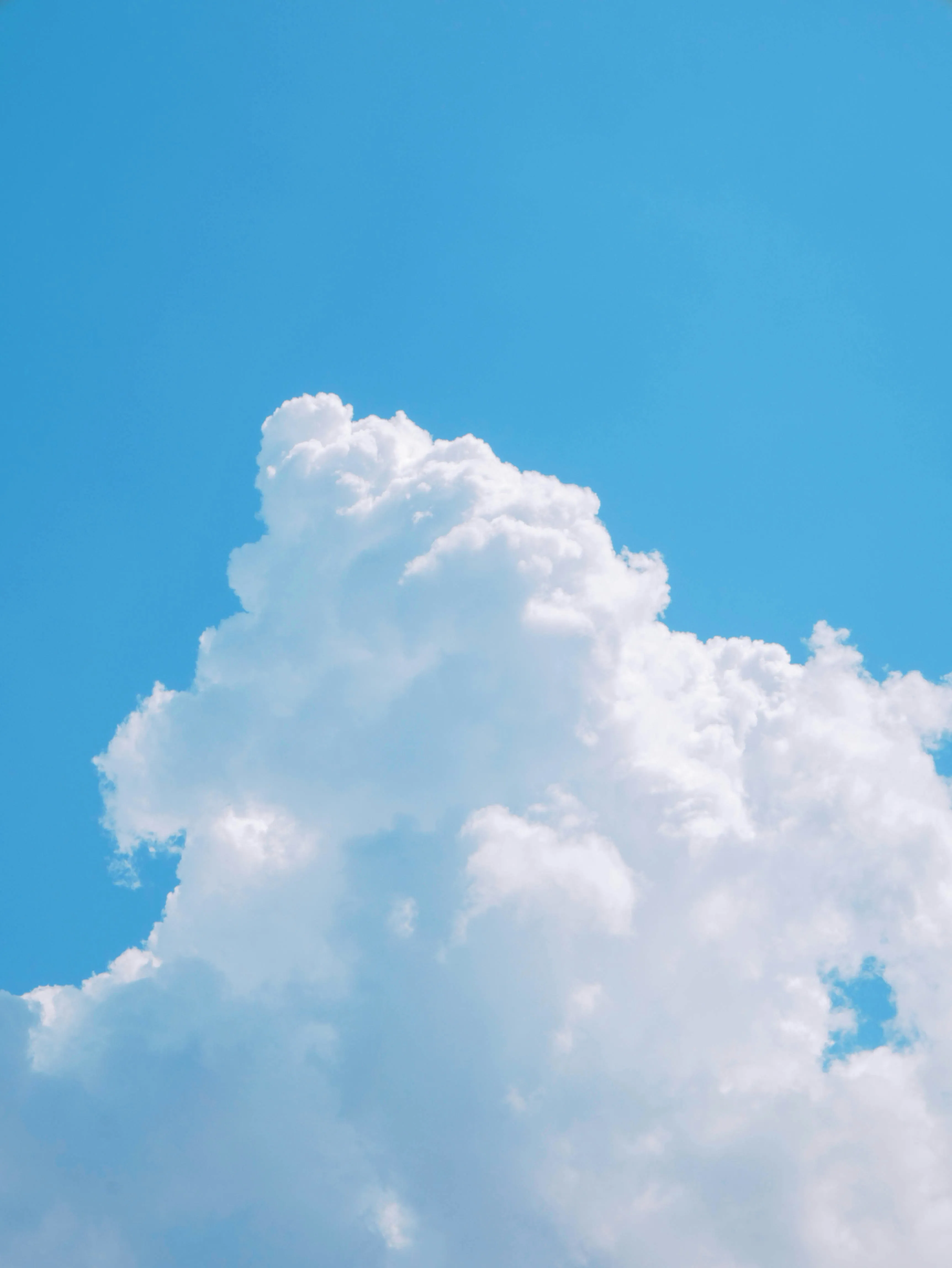 Tall White Cloud Towering Into the Blue Sky Free Wallpaper