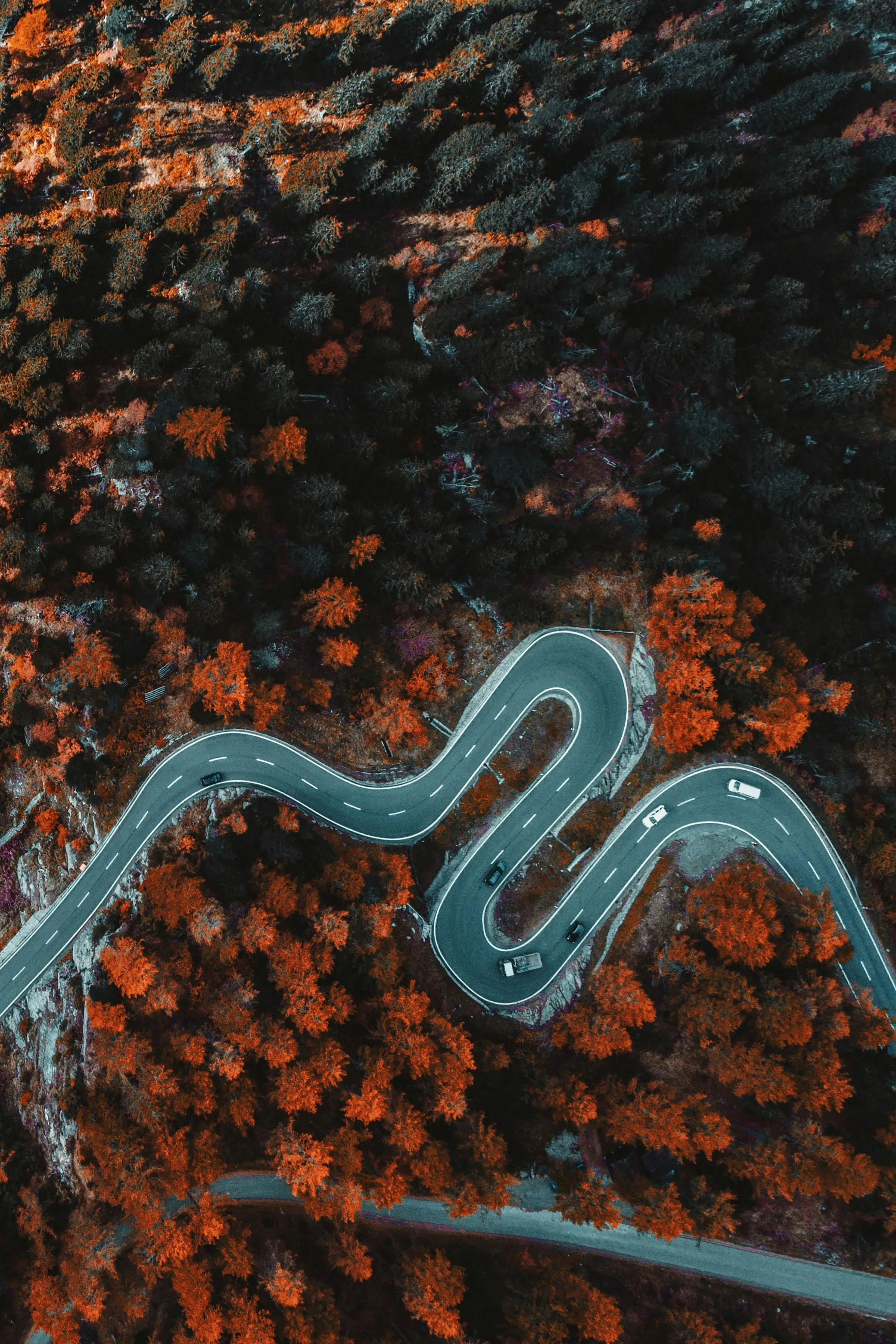 Top View of a Road Cutting Through a Fall Forest Wallpaper