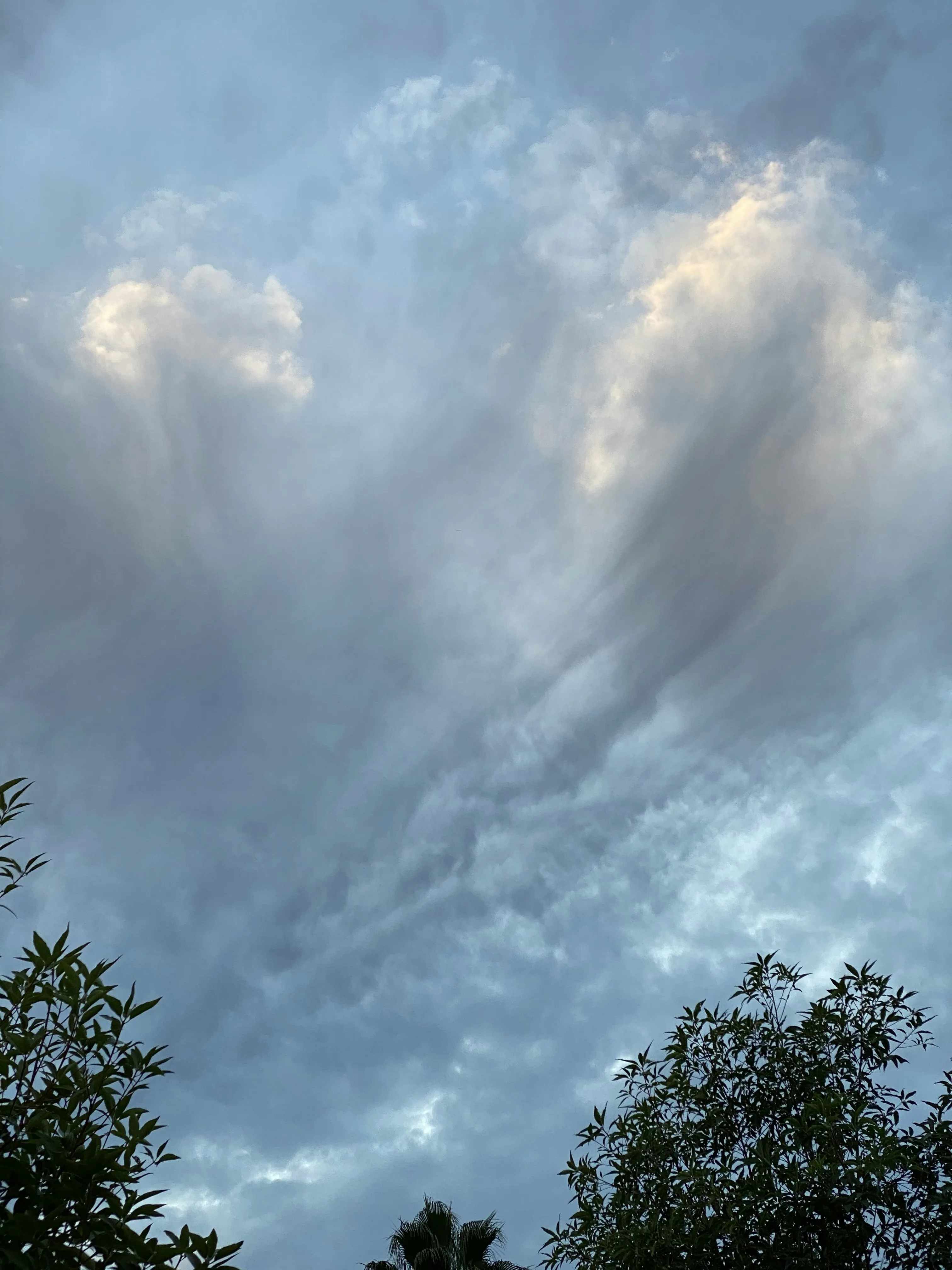 Towering Cloud Formation Reaching High Into Blue Sky