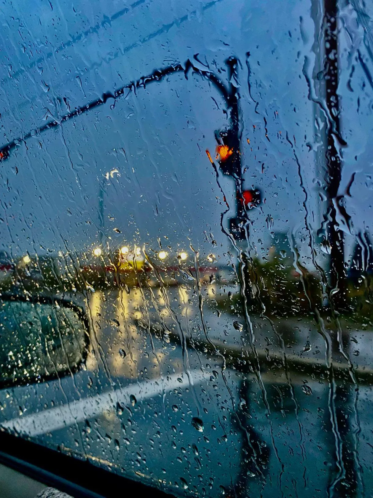Traffic Lights Reflected on Wet Road During Rainfall