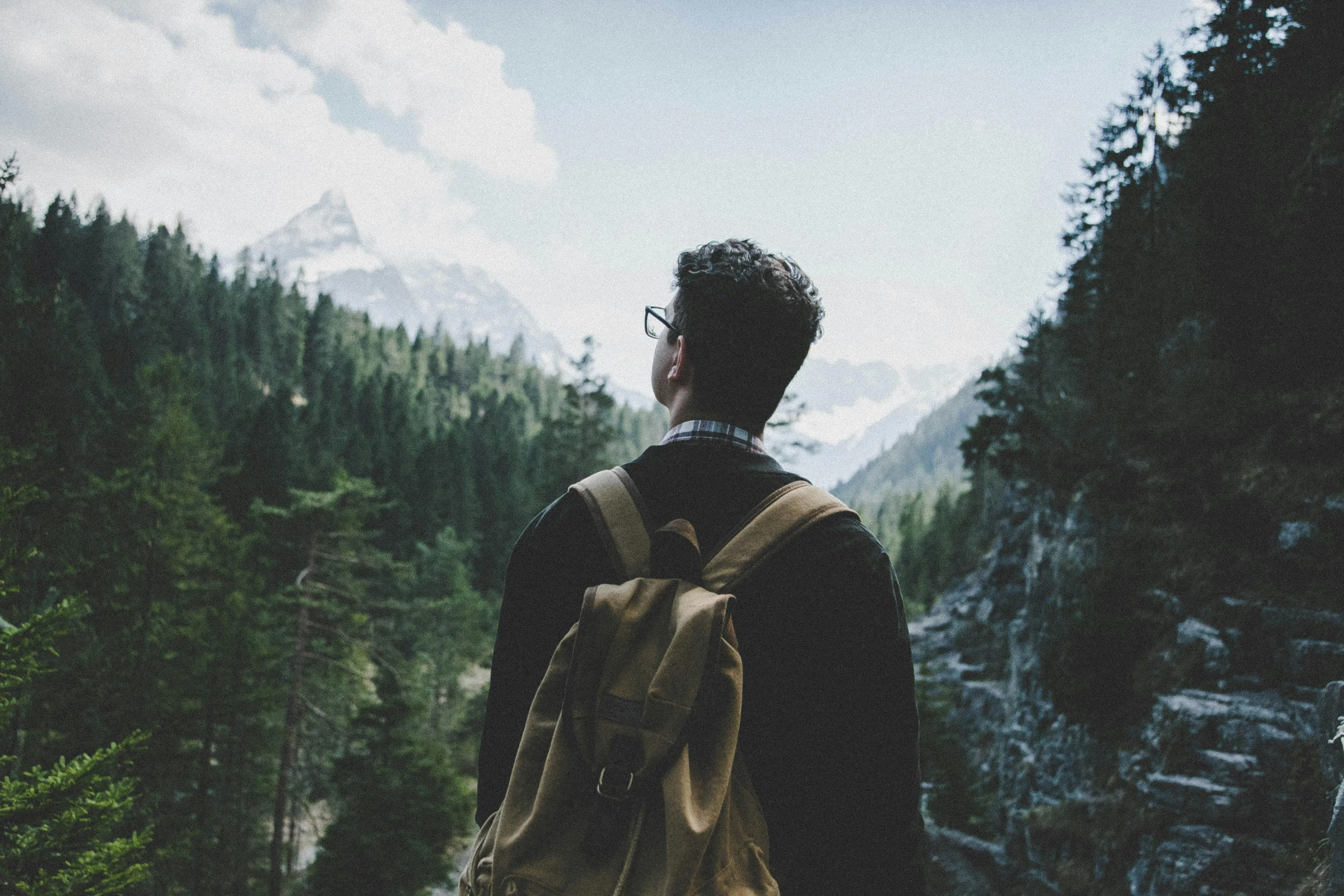 Traveler with Backpack Looking At Forest Covered Mountains