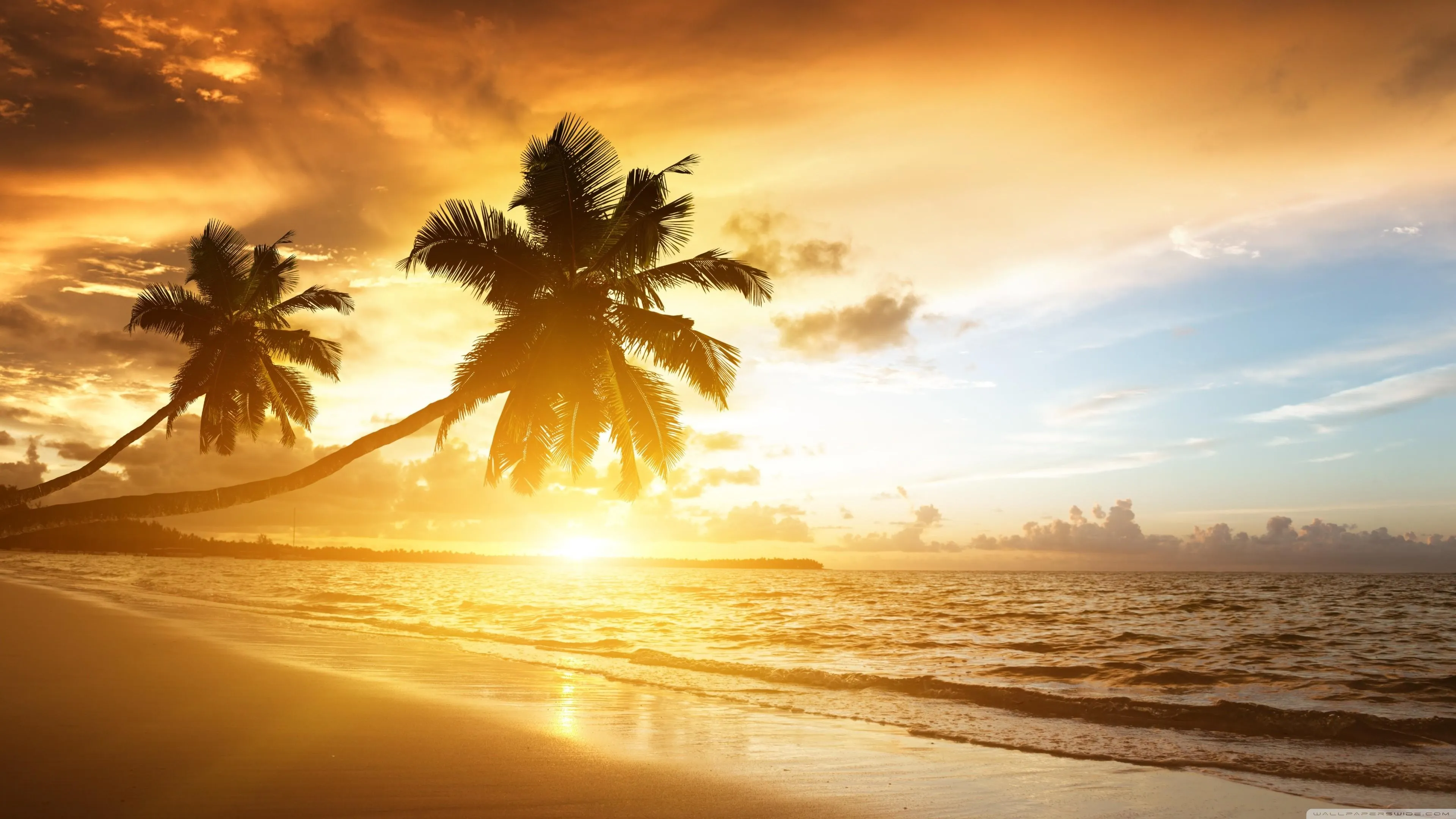 Tropical beach sunset with palm trees and golden sky