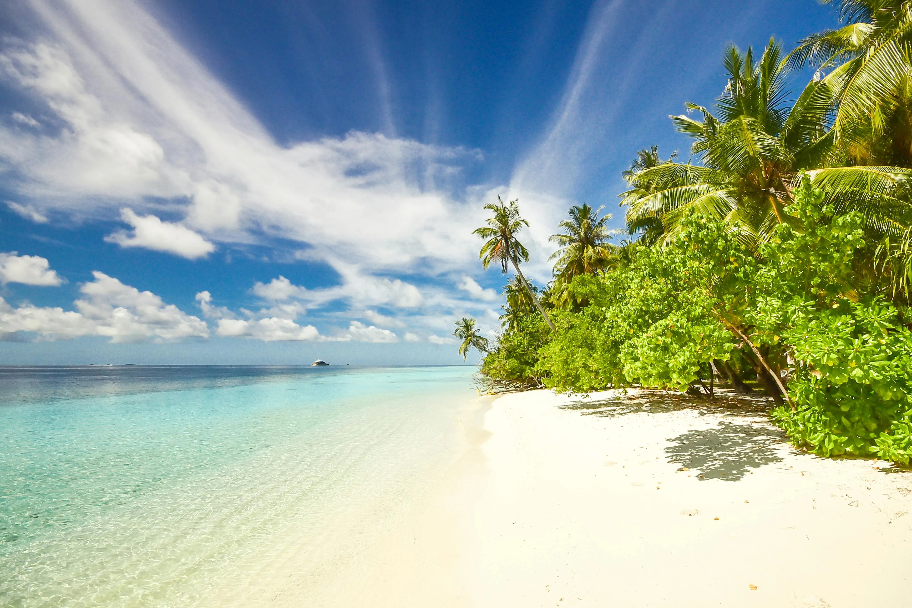 Tropical Beach with Crystal Clear Water and Palm Trees