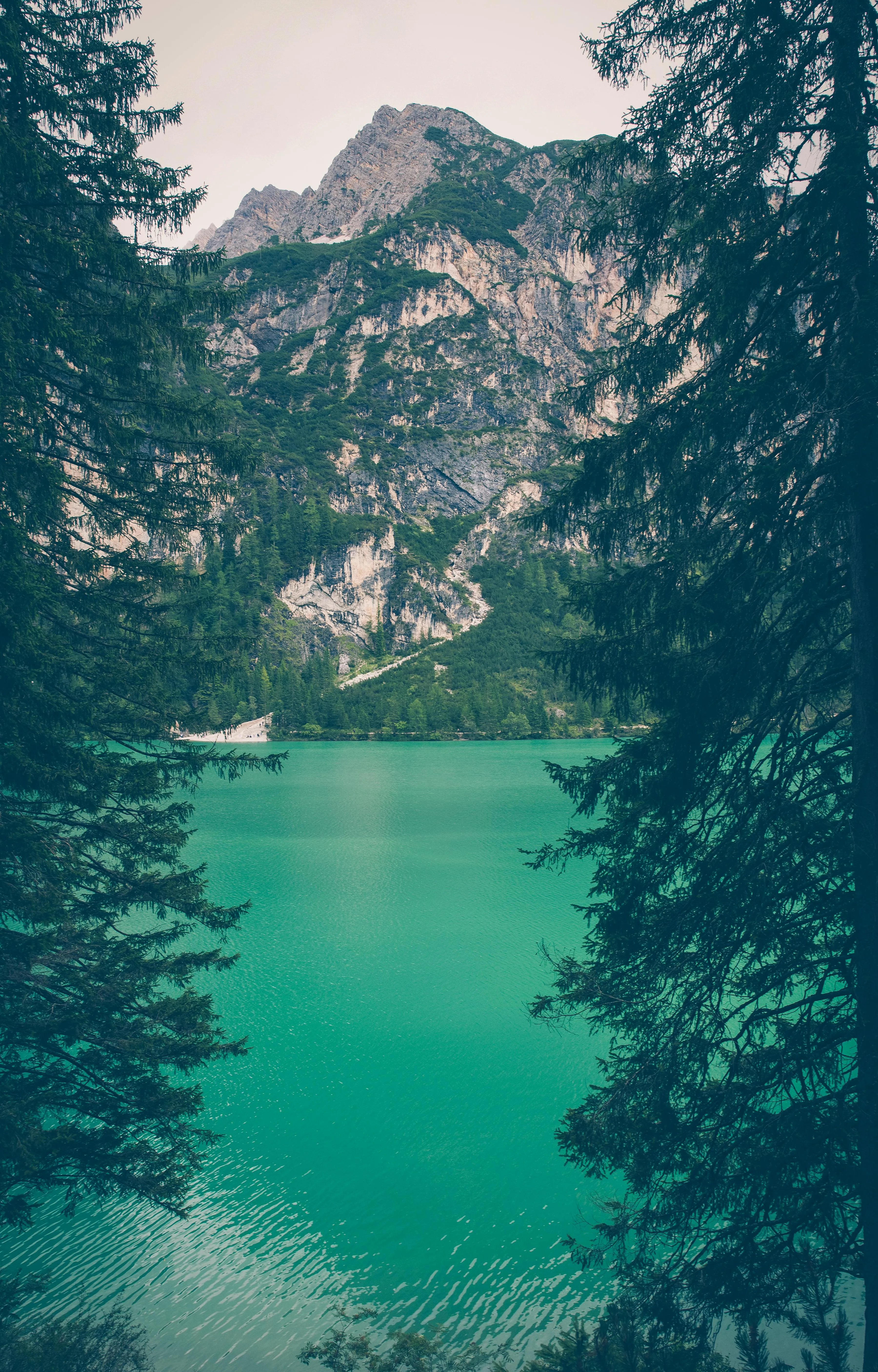 Turquoise Lake Surrounded by Rocky Forest Hills Wallpaper