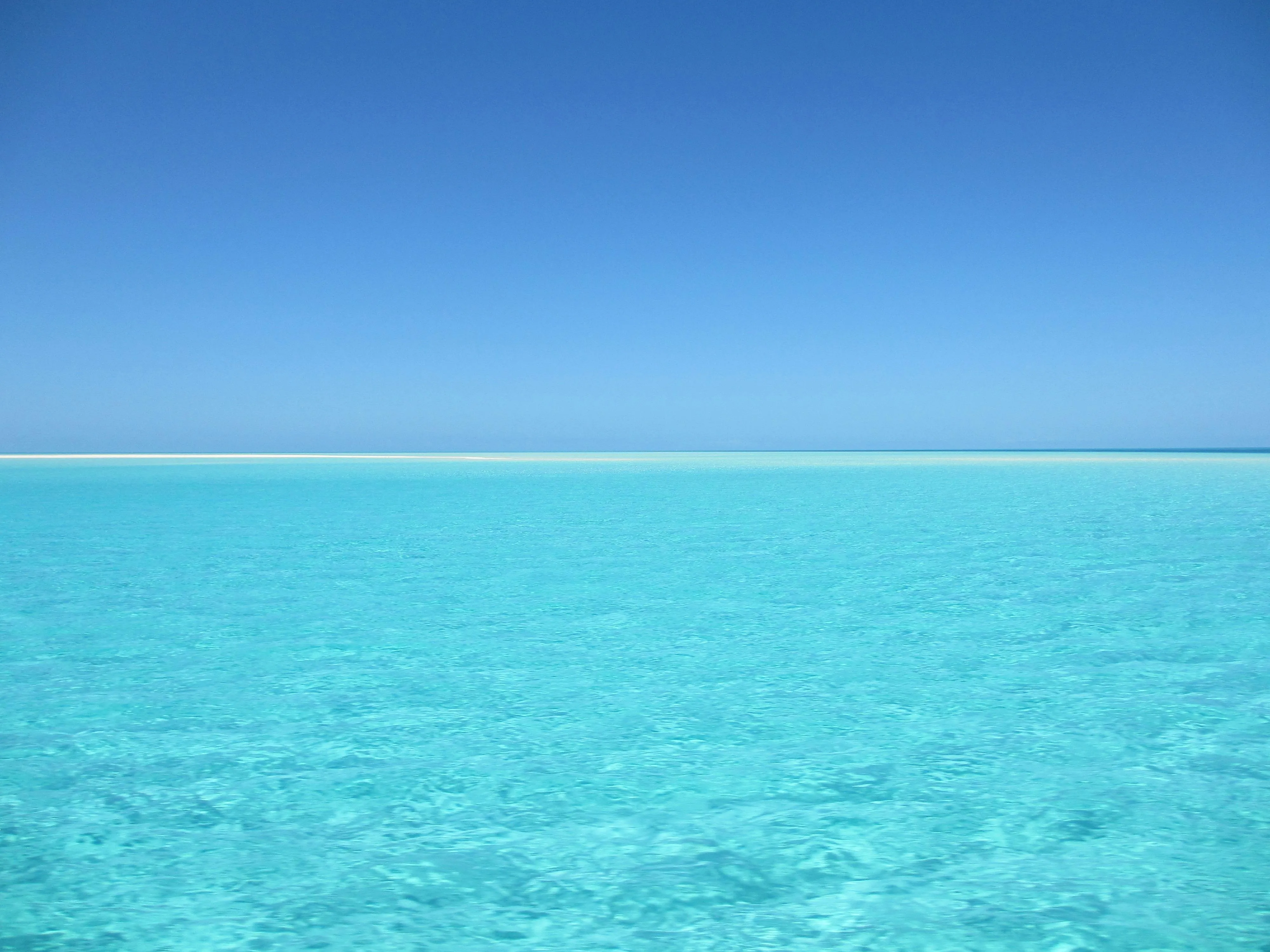 Turquoise Water Meets Bright Blue Sky on Clear Day Wallpaper