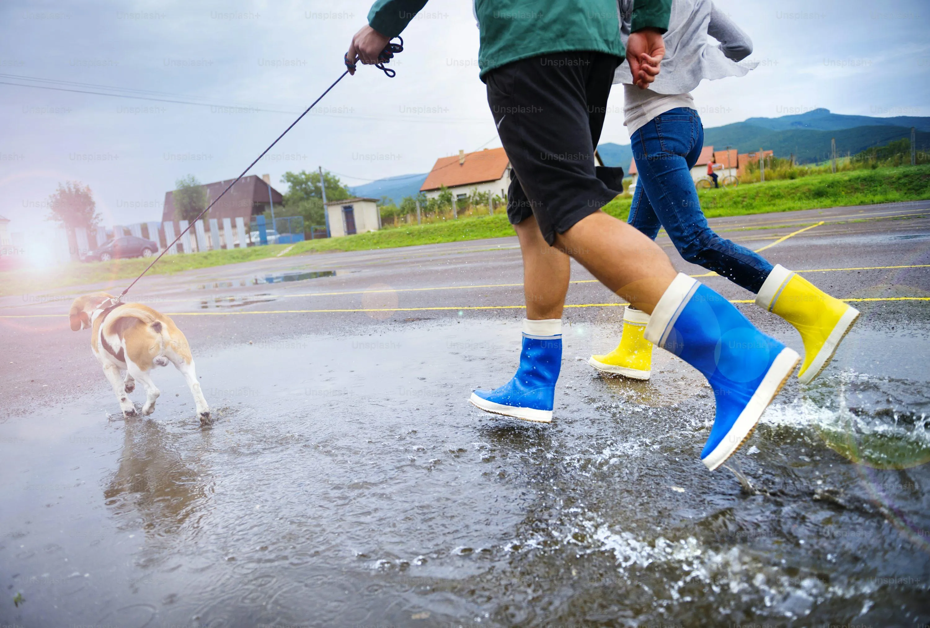 Two Man and Dog Running and Splashing in Rainy Puddle