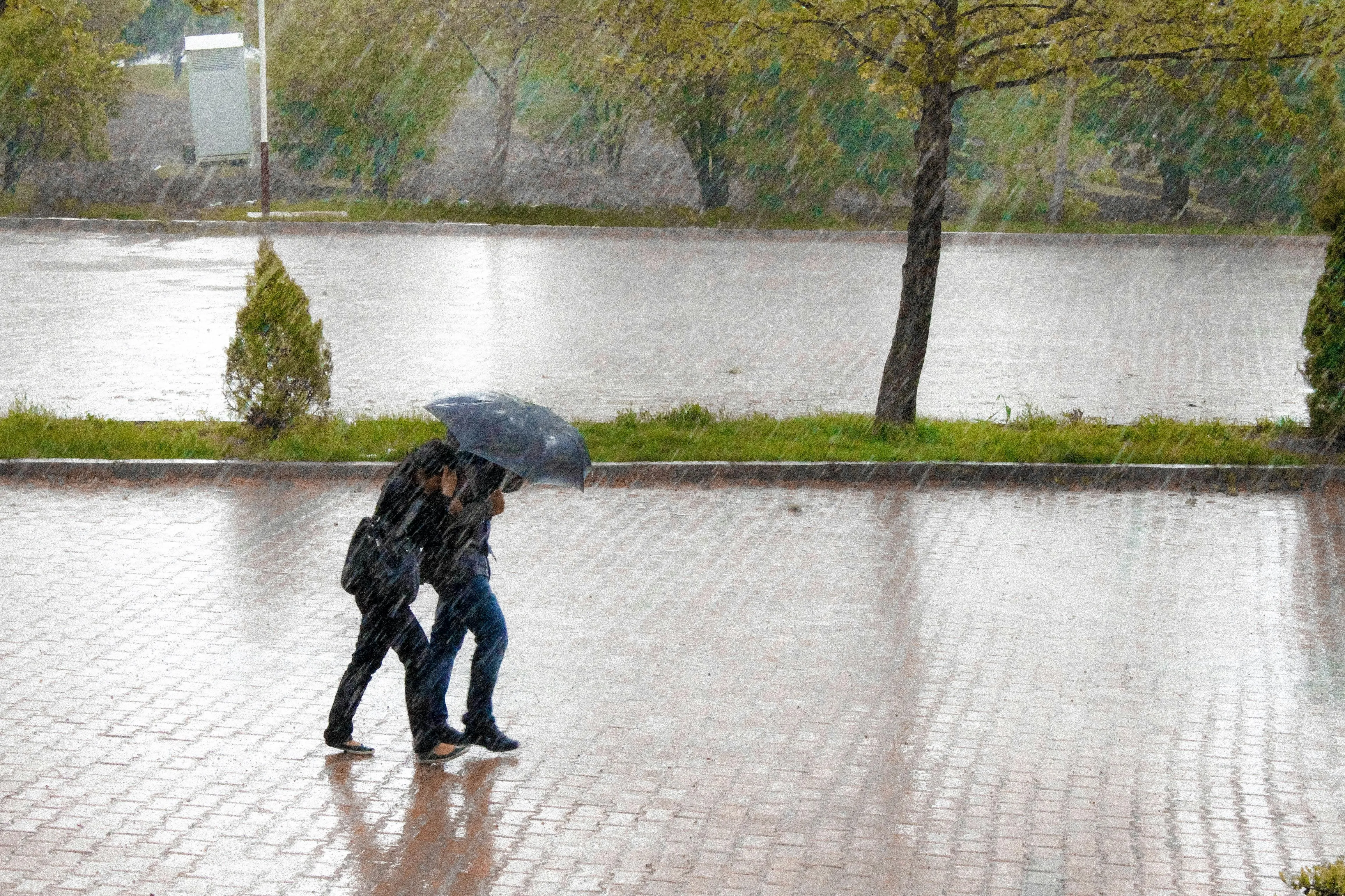 Two People Walking in Flooded Park Area After Rain