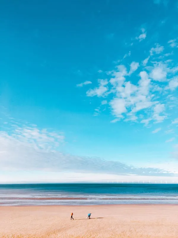 Two People Walking on Sandy Beach Under Clear Blue Sky