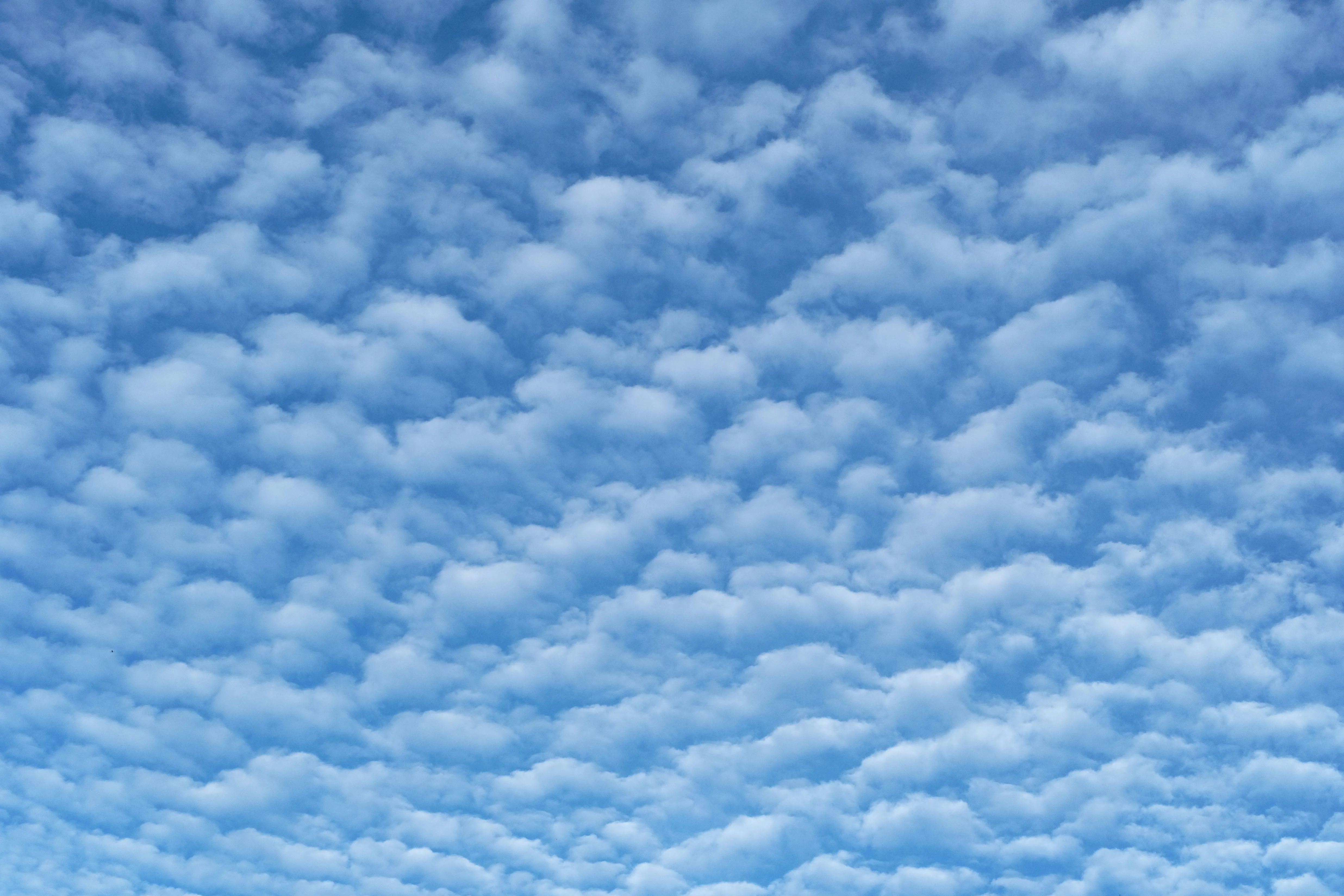 Unique Pattern of White Clouds Scattered Across Blue Sky
