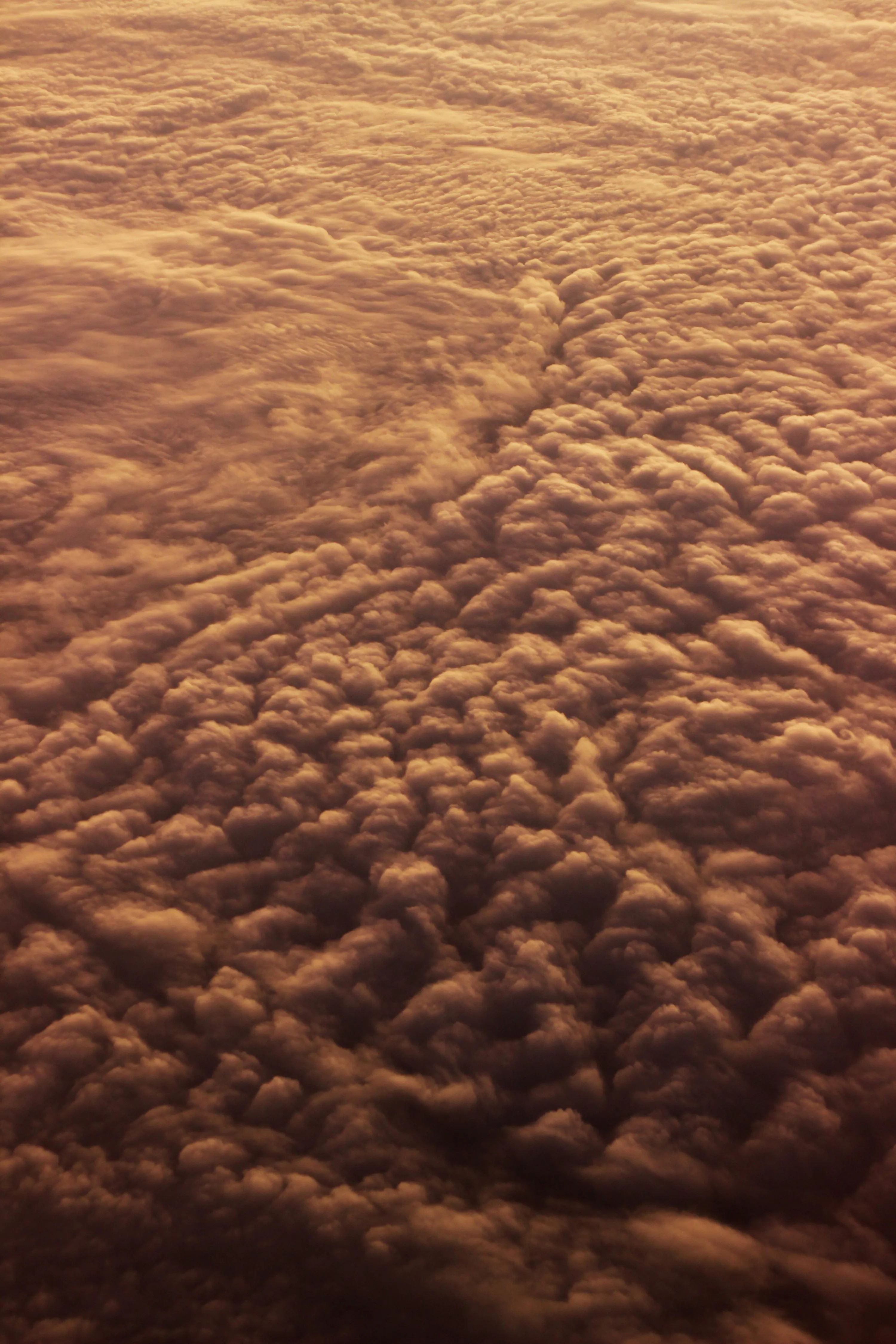 Vast Brown Cloud Field with Textured Surface Appearance