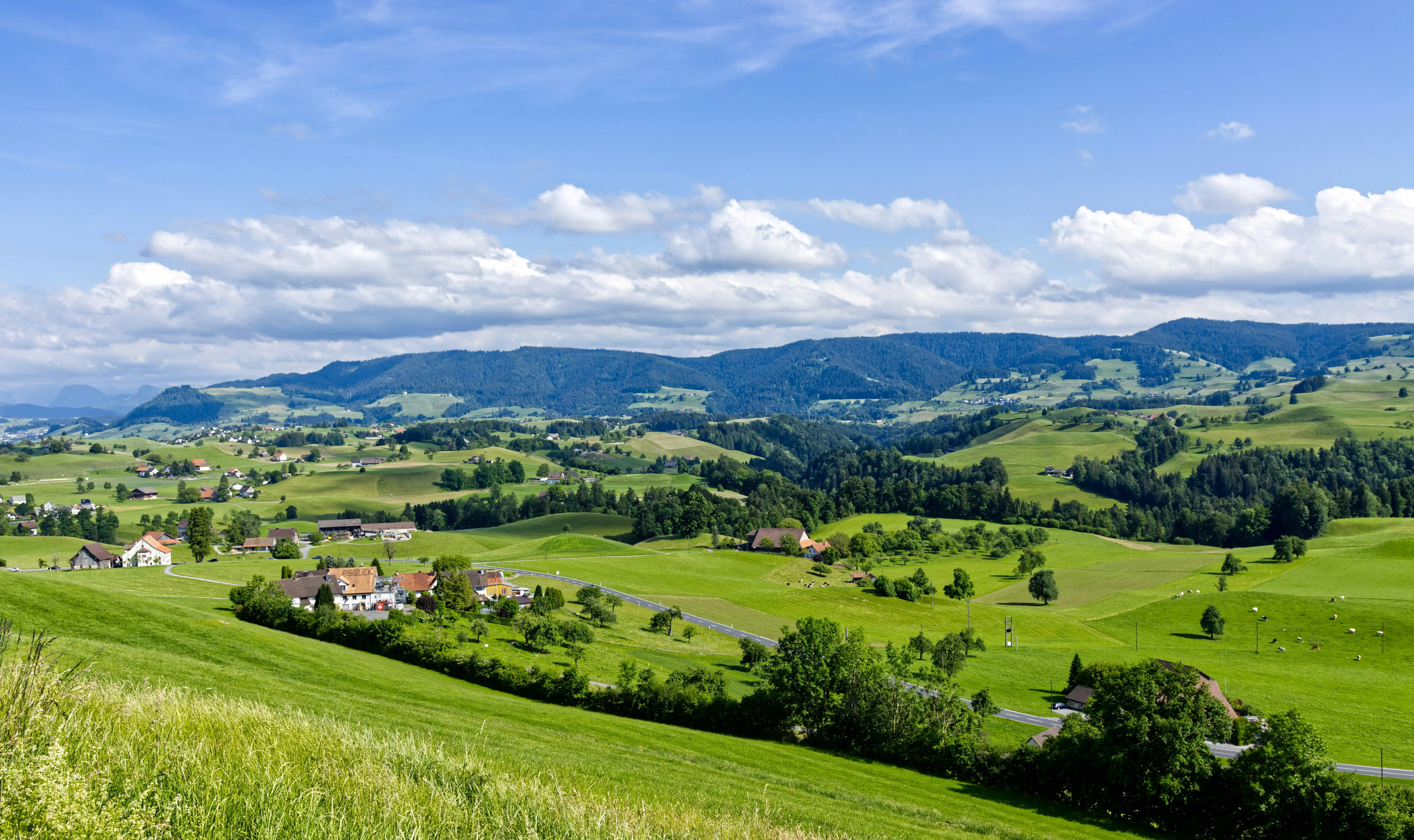 Vast farmlands under bright blue sunny skies HD image